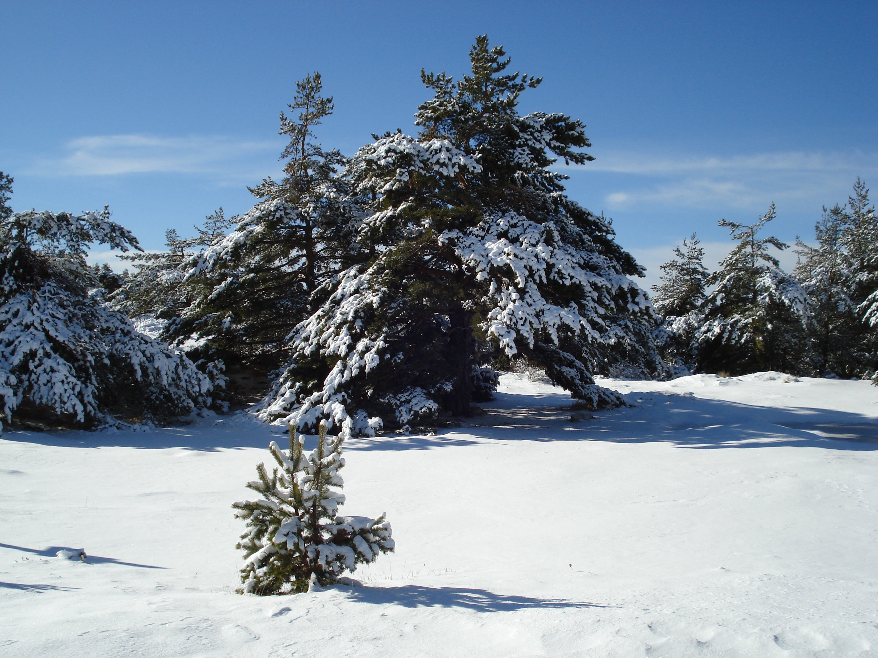 Picture France Greolieres les neiges 2007-01 1 - Journey Greolieres les neiges