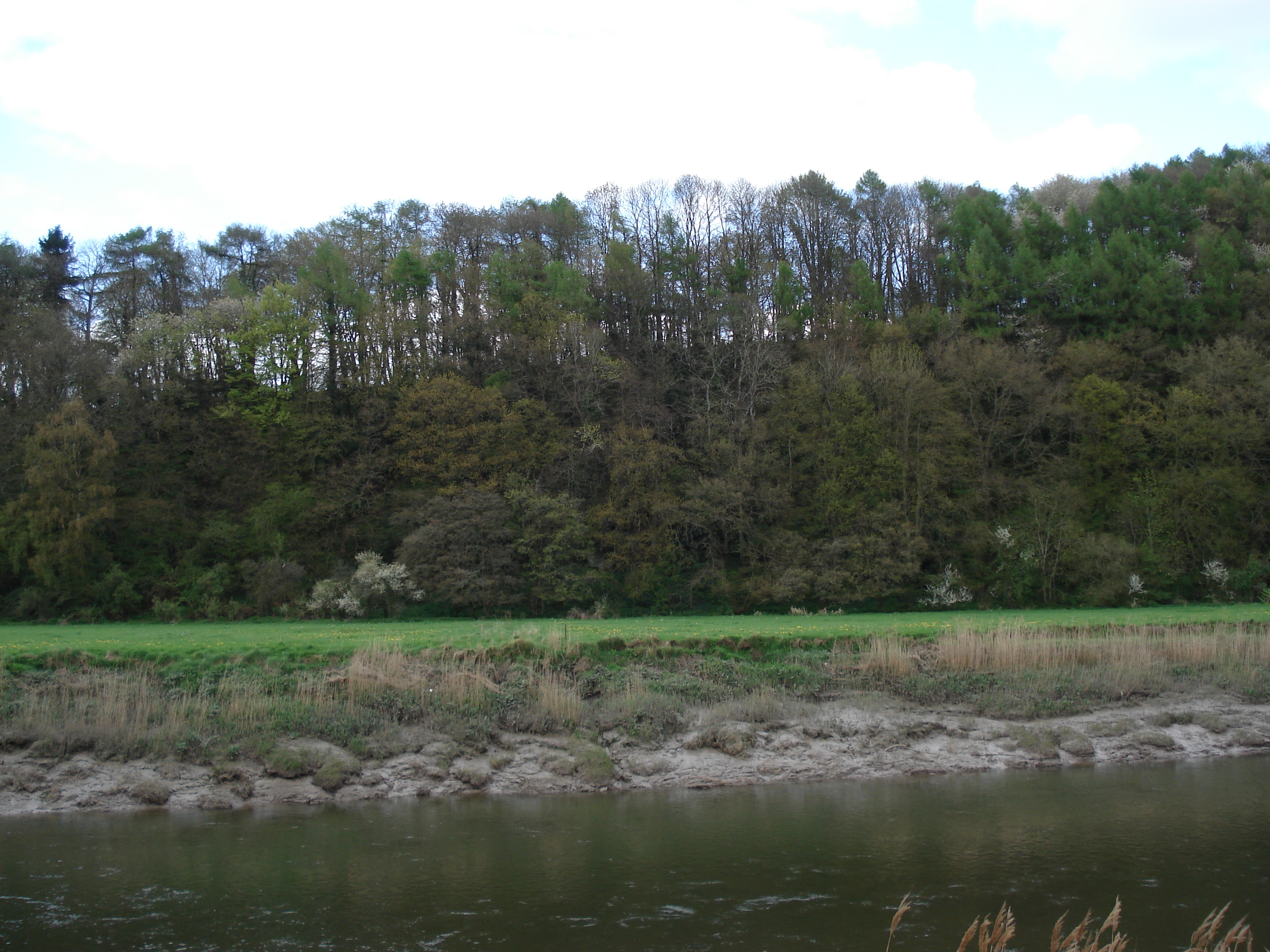 Picture United Kingdom Tintern 2006-05 65 - Tour Tintern