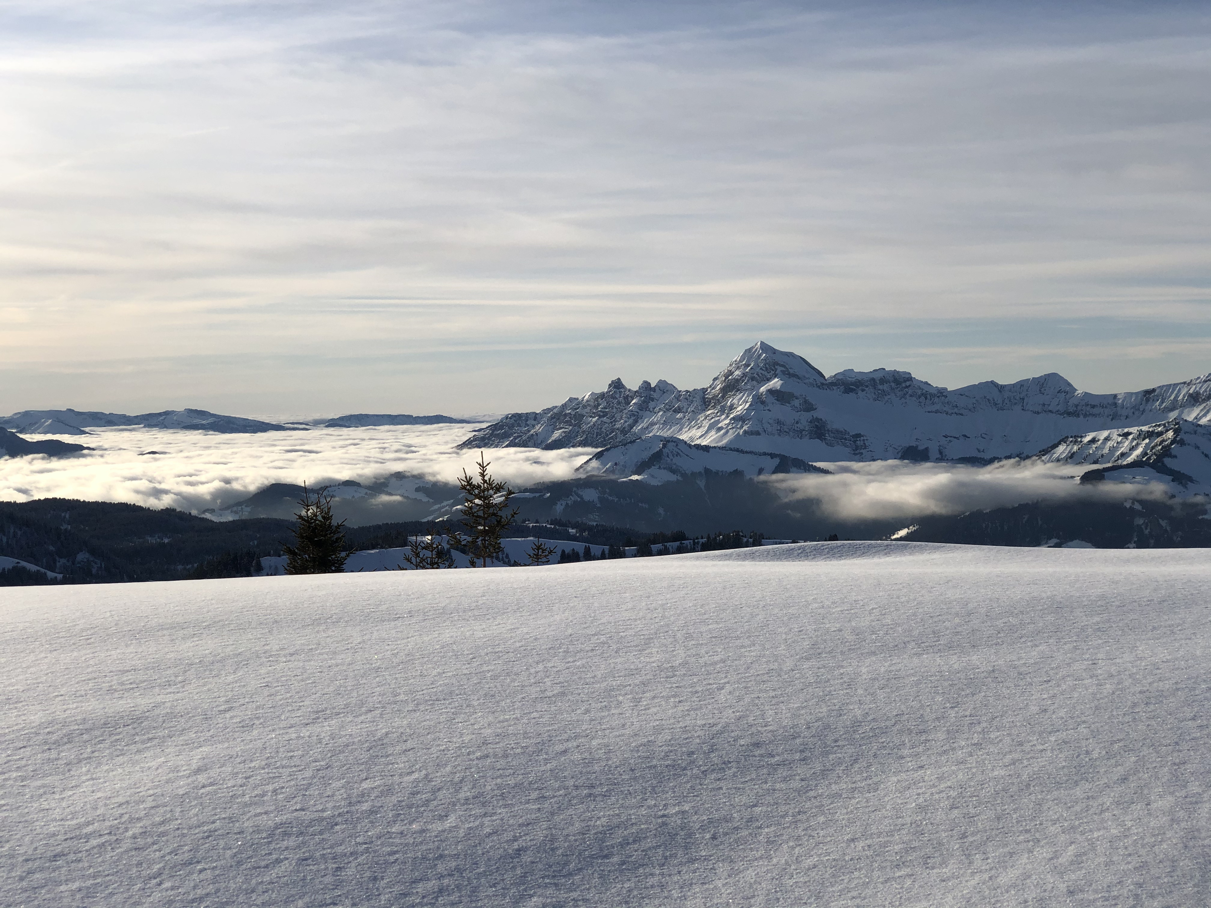 Picture France Praz sur Arly 2019-12 390 - Tours Praz sur Arly