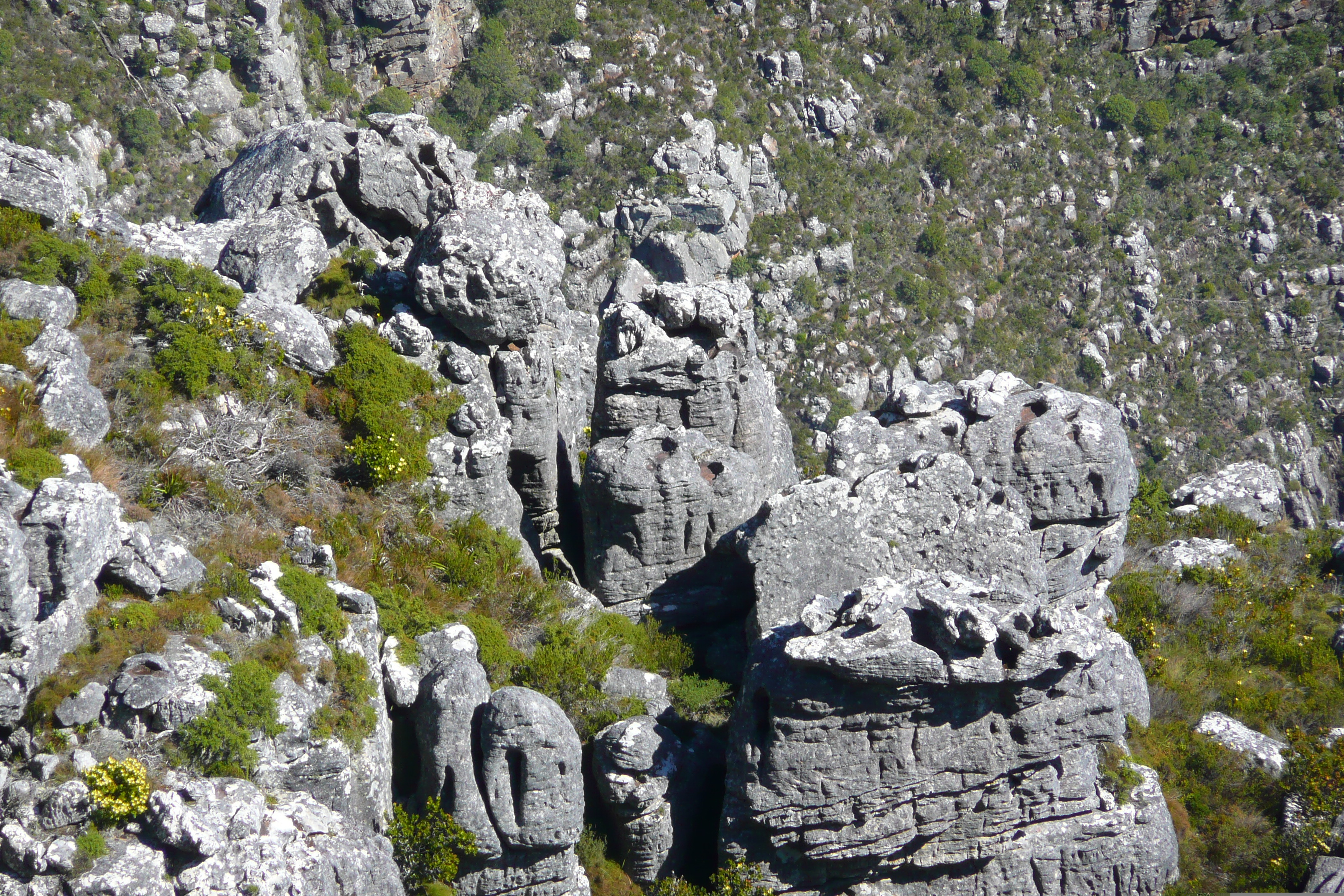 Picture South Africa Cape Town Table Mountain 2008-09 37 - Tour Table Mountain