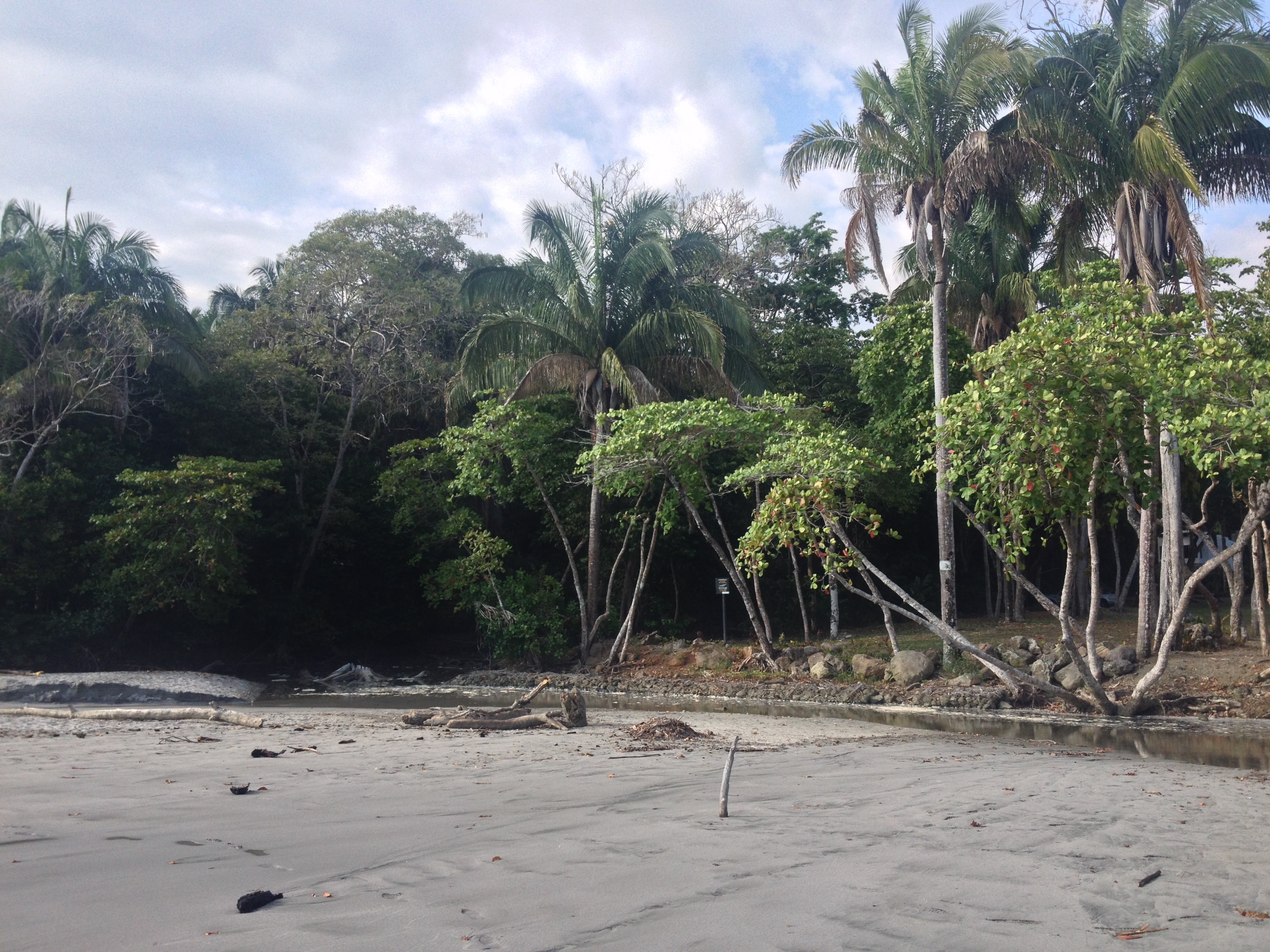 Picture Costa Rica Manuel Antonio 2015-03 94 - History Manuel Antonio