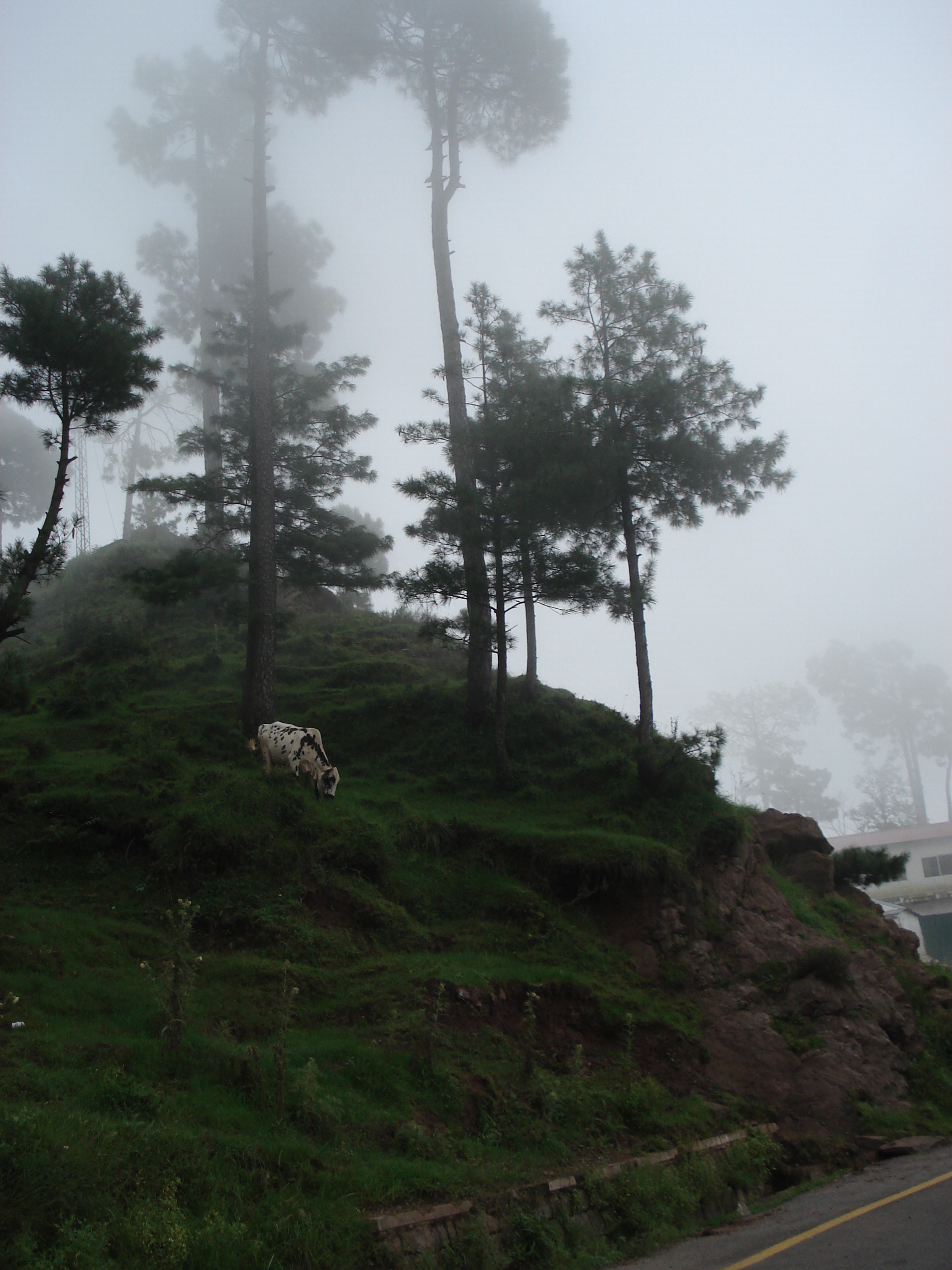 Picture Pakistan Murree 2006-08 145 - Tour Murree