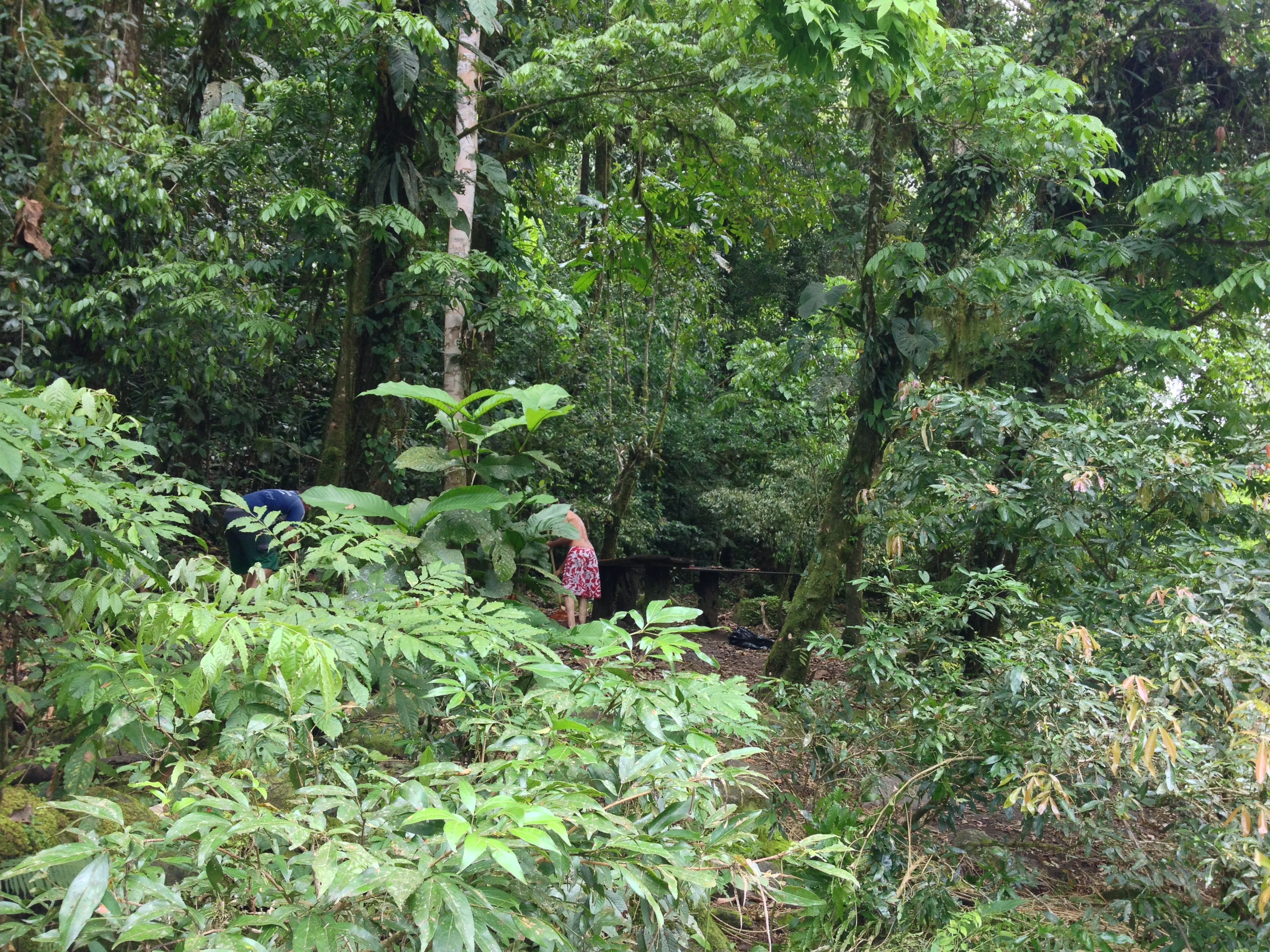 Picture Costa Rica Pacuare River 2015-03 27 - Recreation Pacuare River