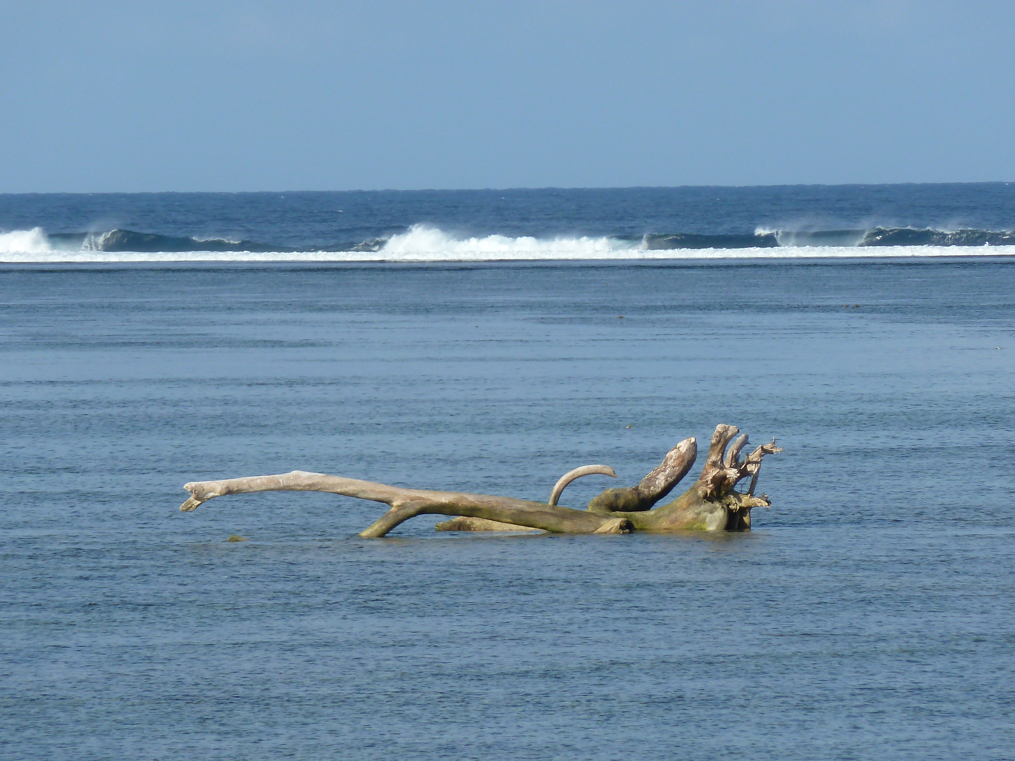 Picture Fiji Shangri La Fijian Resort 2010-05 30 - Tours Shangri La Fijian Resort