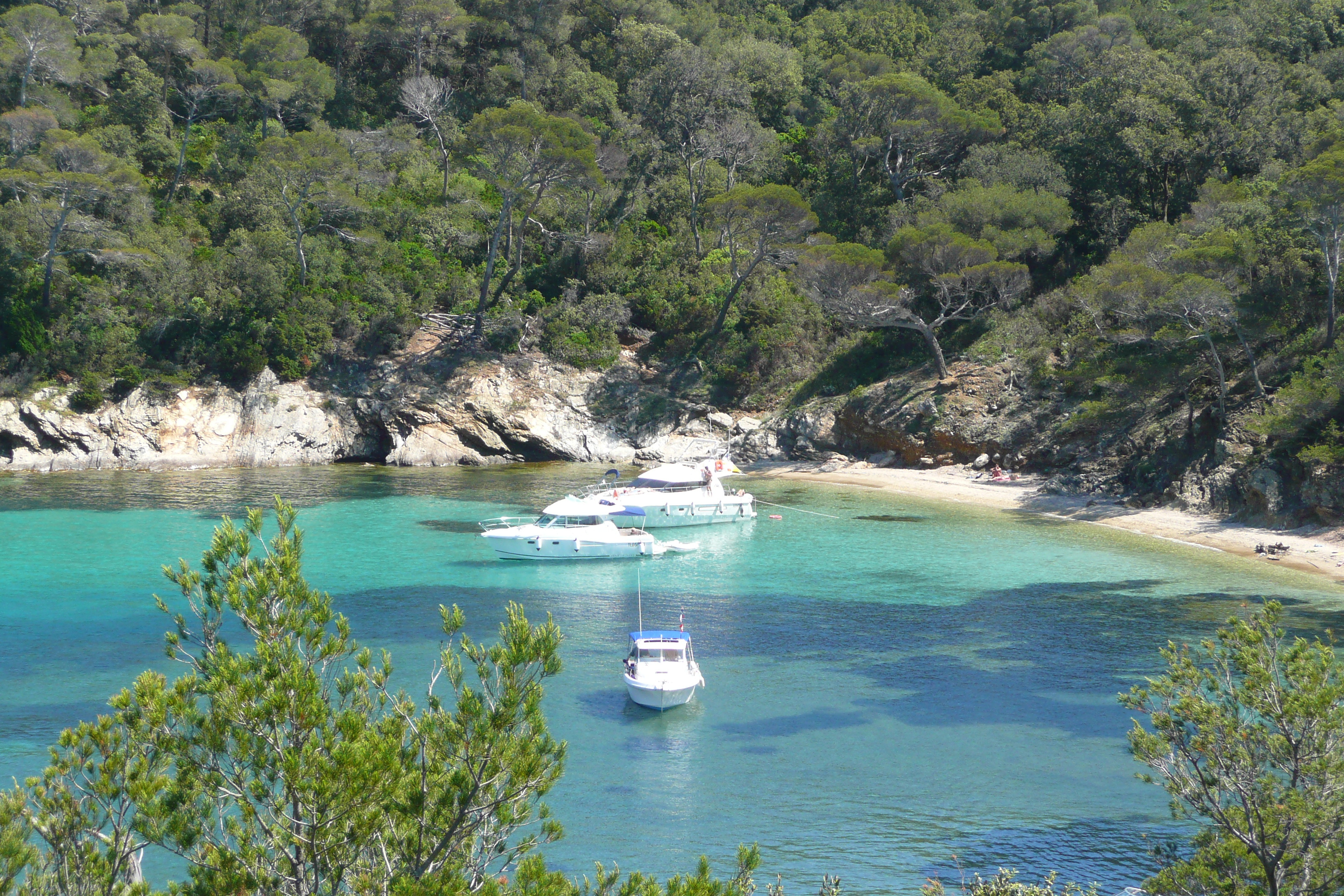 Picture France Porquerolles Island Alycastre beach 2008-05 11 - History Alycastre beach