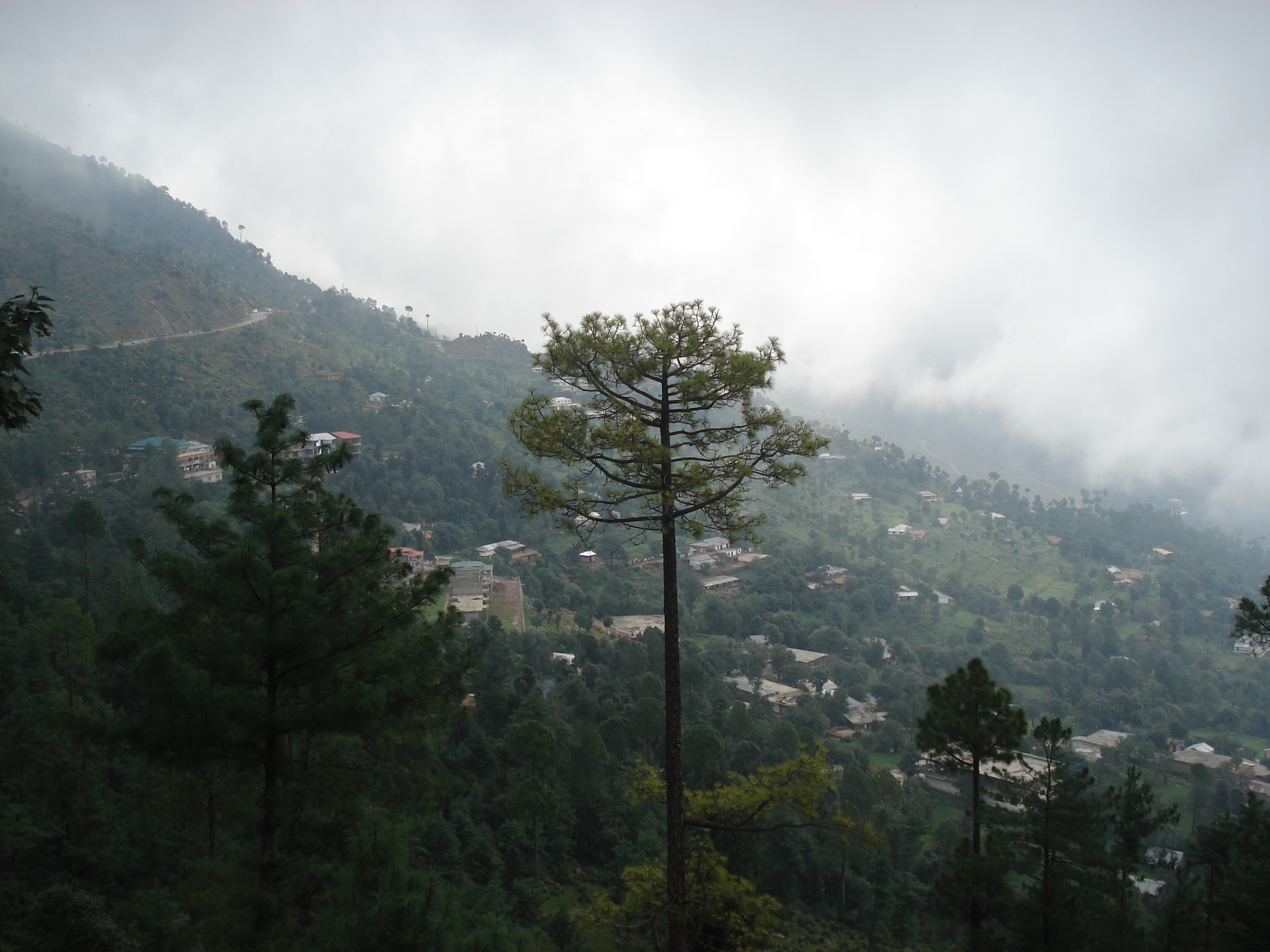 Picture Pakistan Murree 2006-08 159 - Discovery Murree