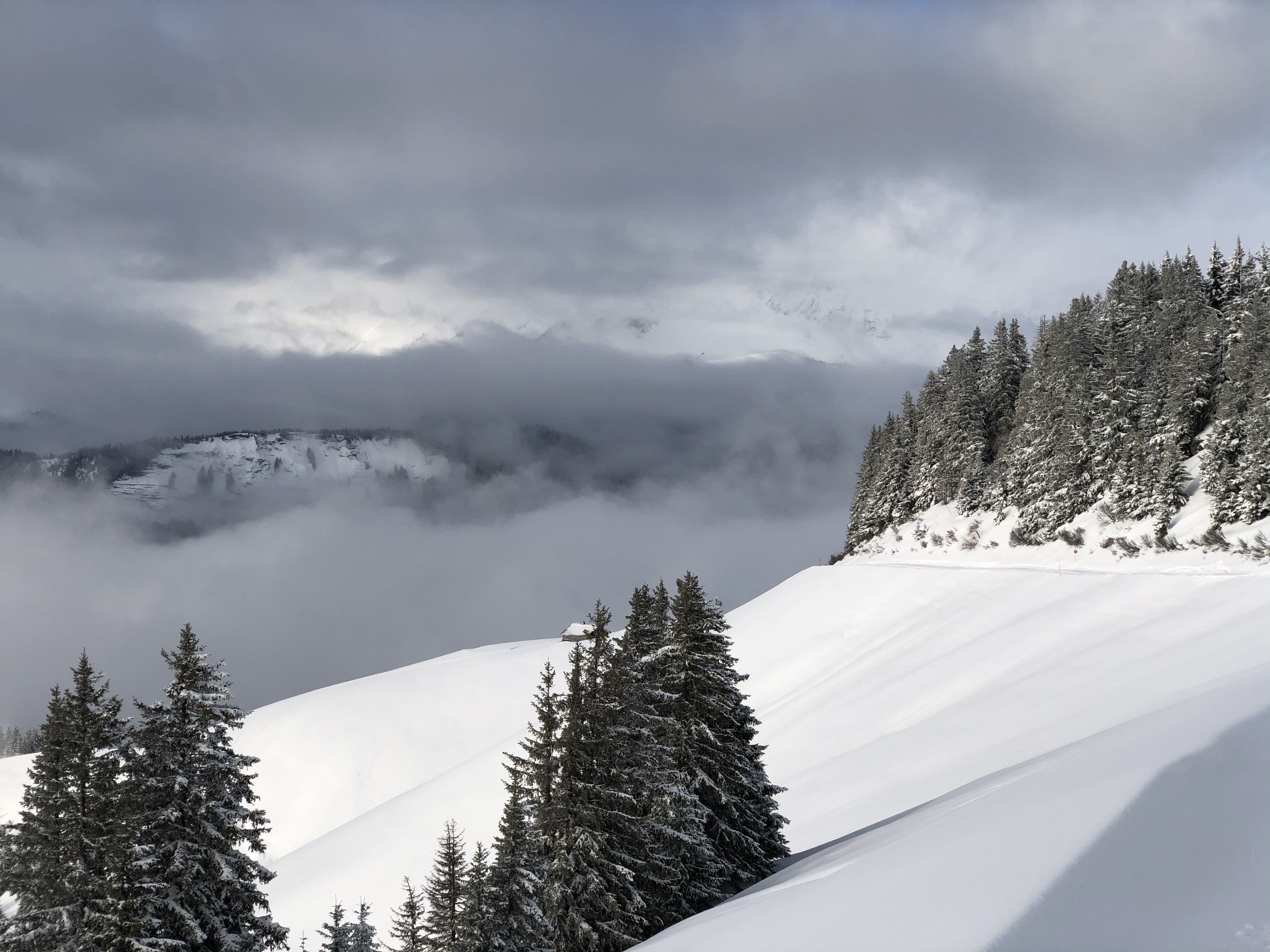 Picture France Praz sur Arly 2019-12 92 - Tours Praz sur Arly