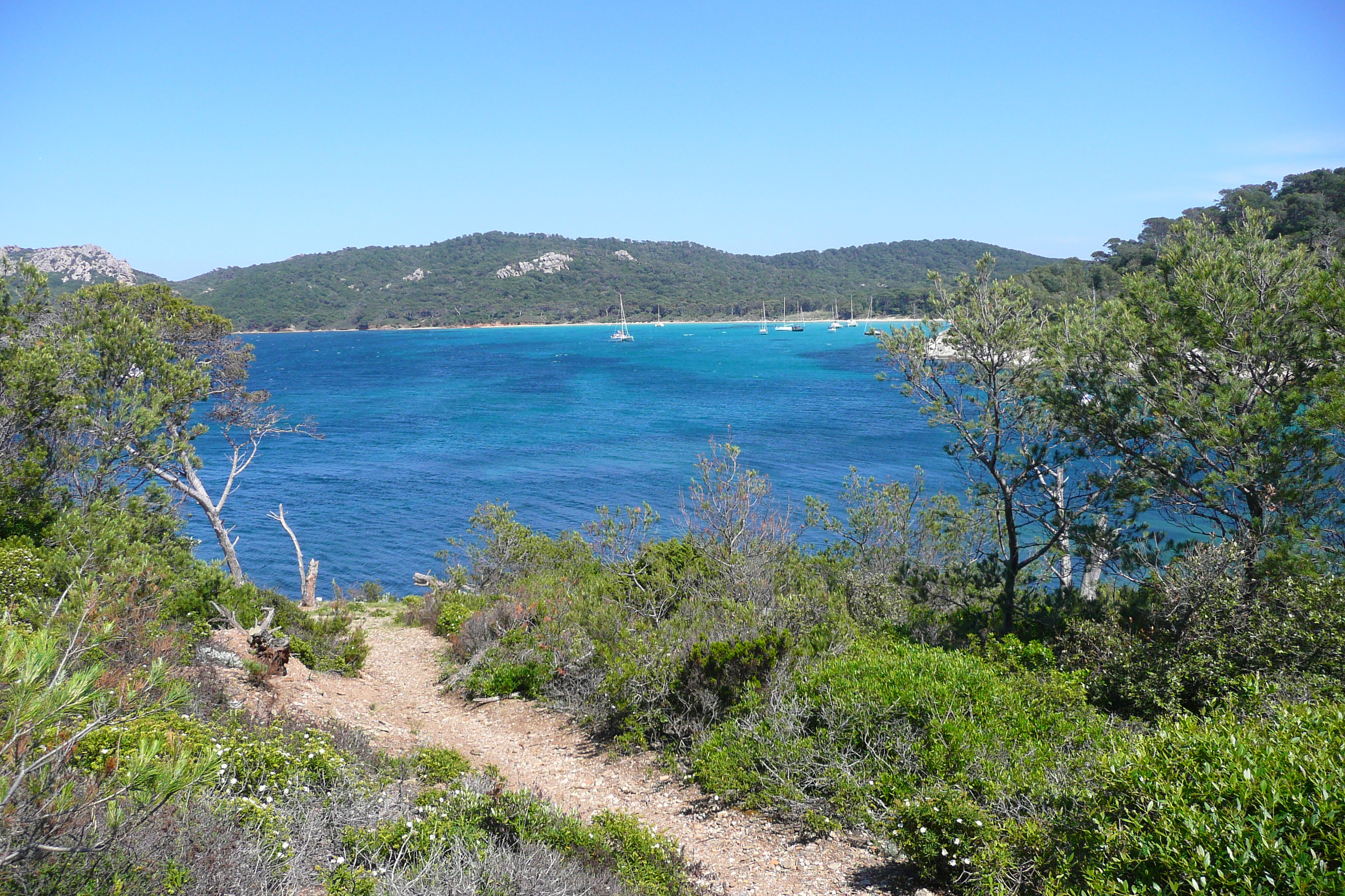 Picture France Porquerolles Island Alycastre beach 2008-05 5 - Discovery Alycastre beach