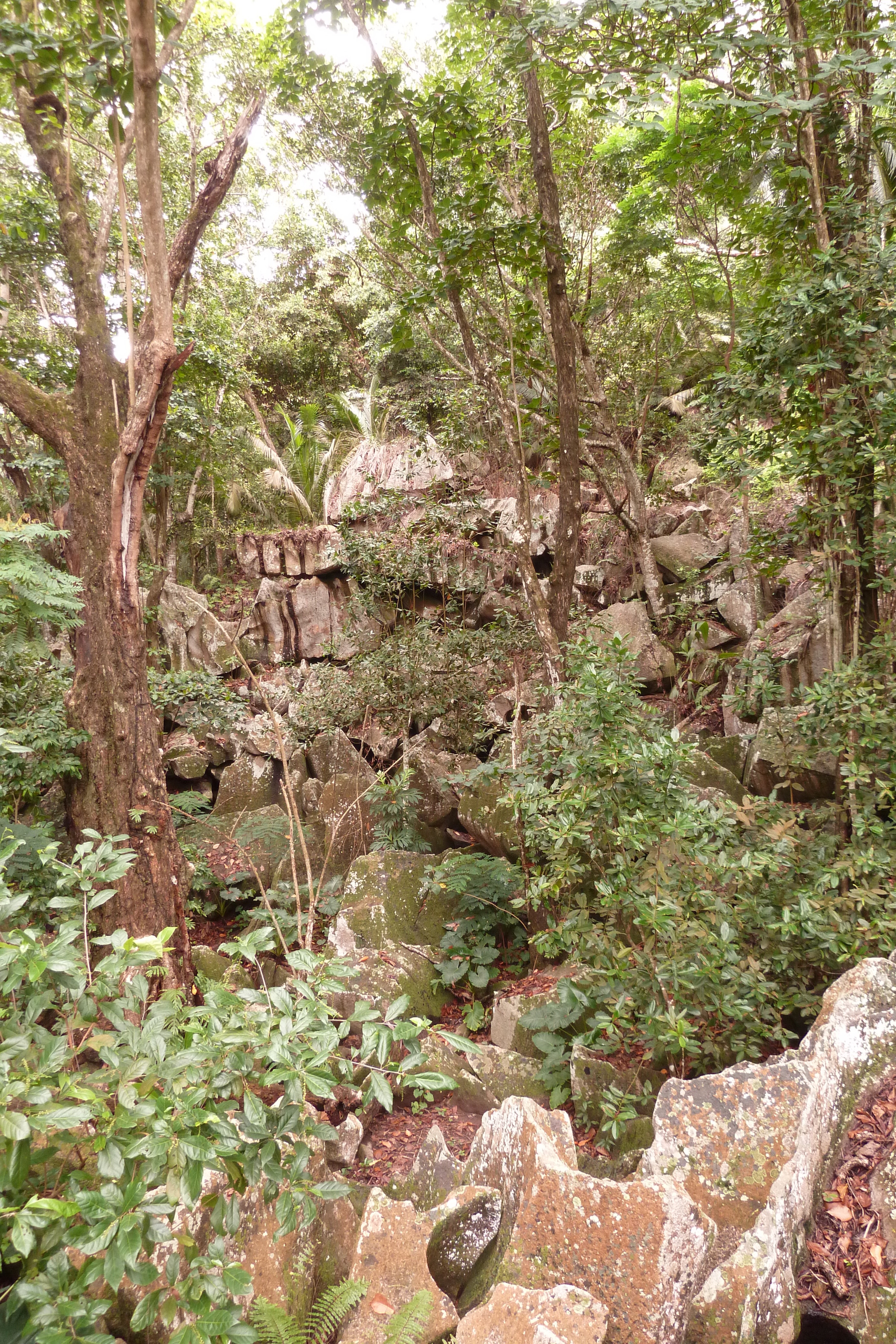 Picture Seychelles La Digue 2011-10 111 - Journey La Digue