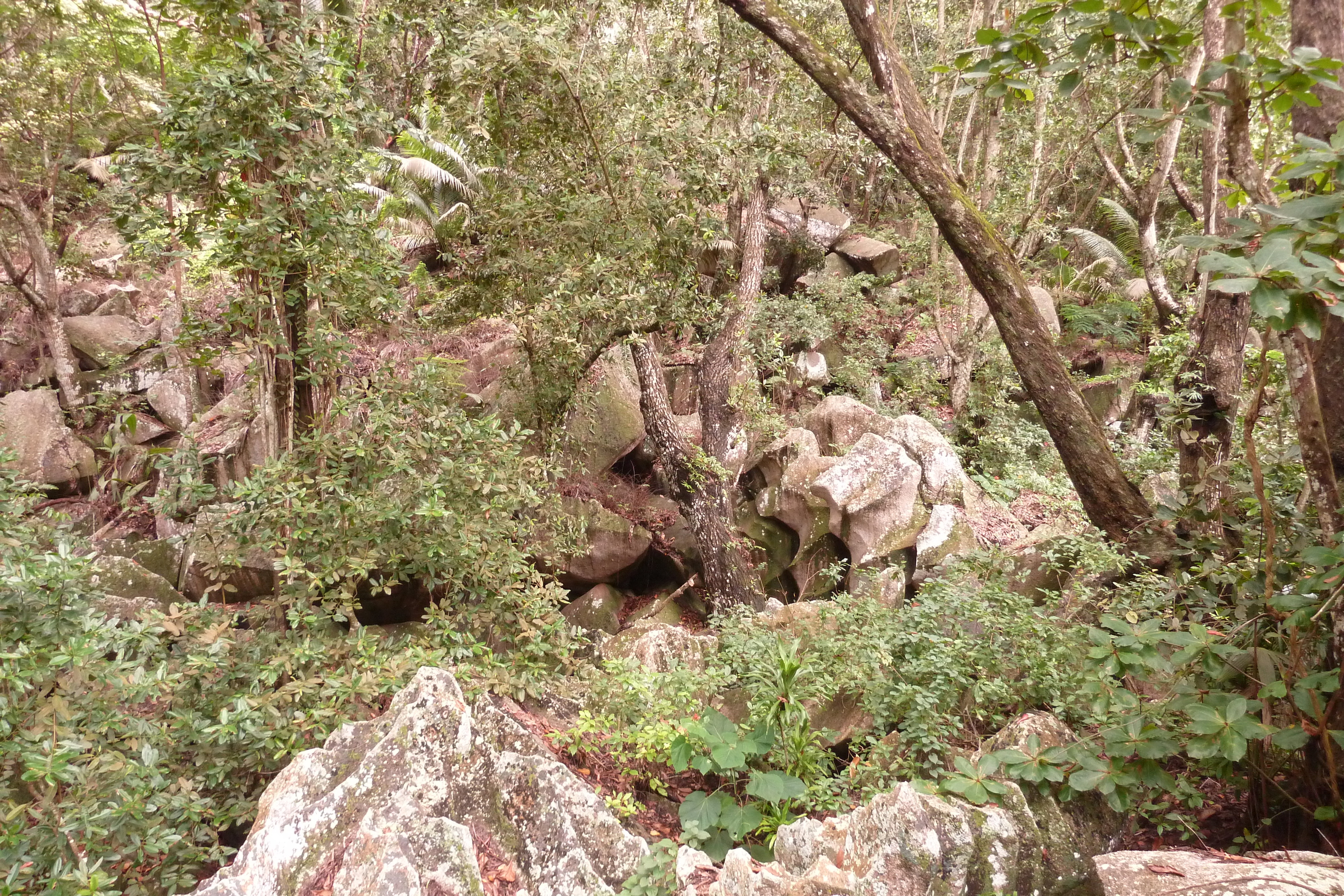 Picture Seychelles La Digue 2011-10 91 - Recreation La Digue