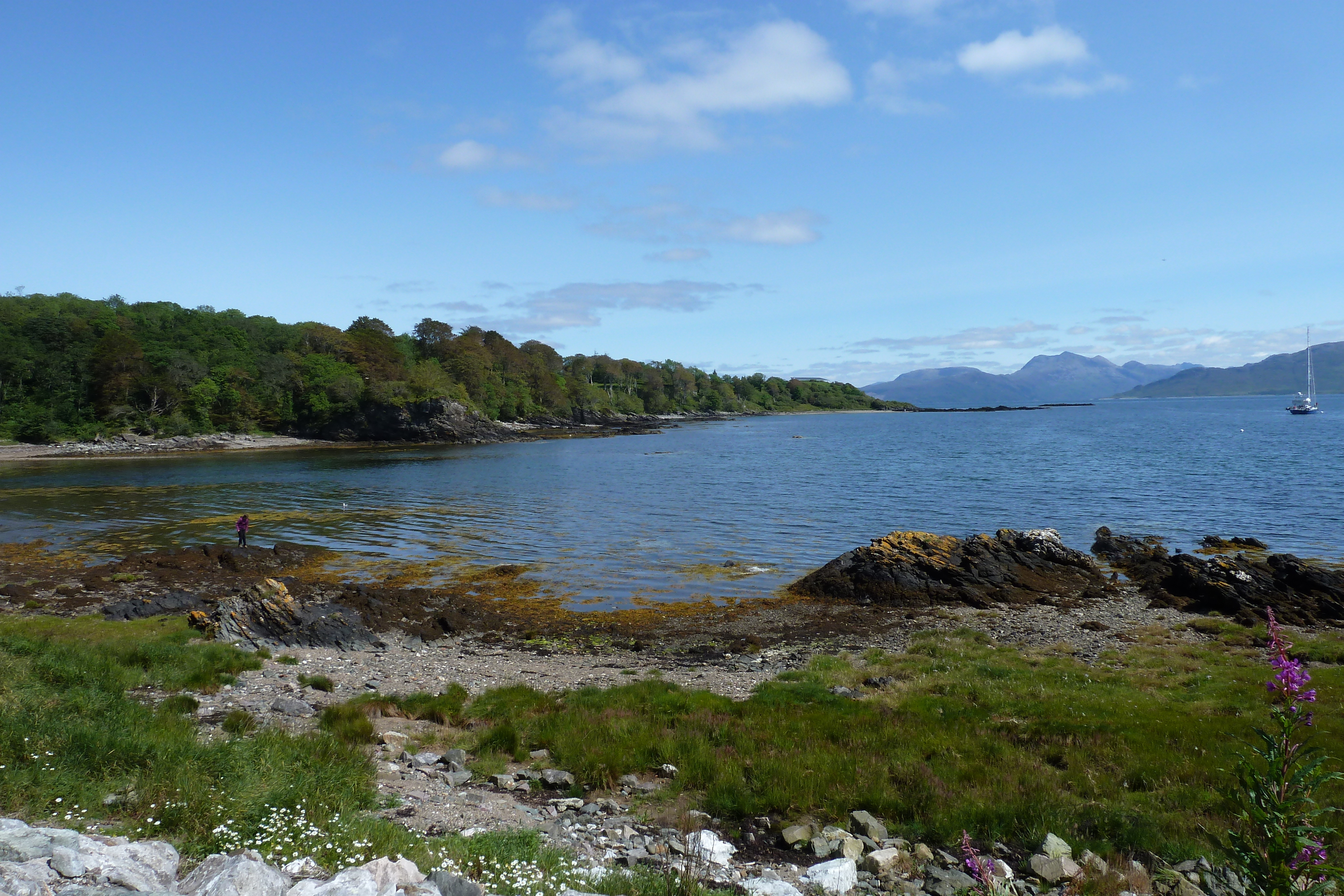 Picture United Kingdom Skye 2011-07 256 - Recreation Skye