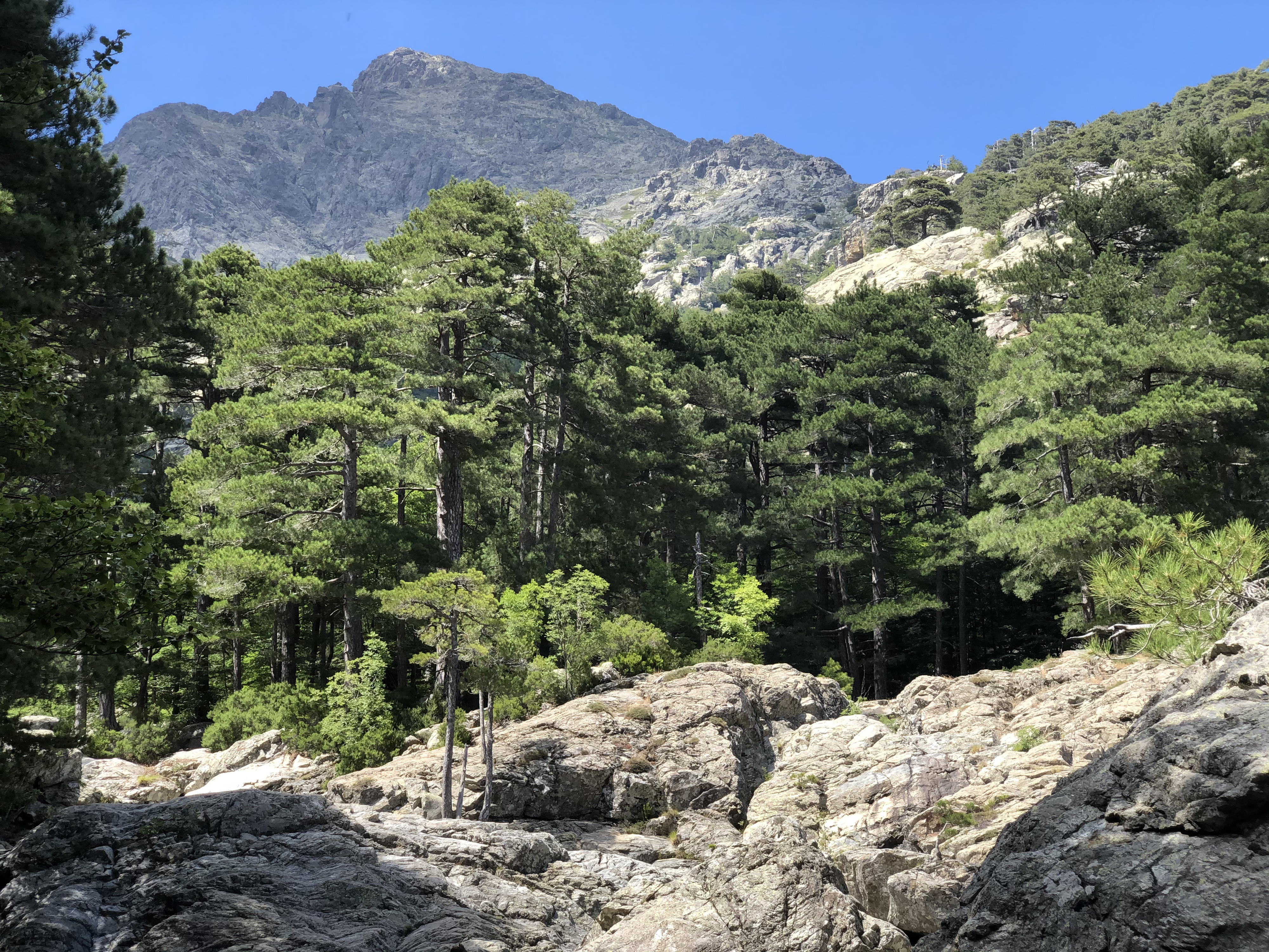 Picture France Corsica Cascade des Anglais 2020-07 53 - Journey Cascade des Anglais