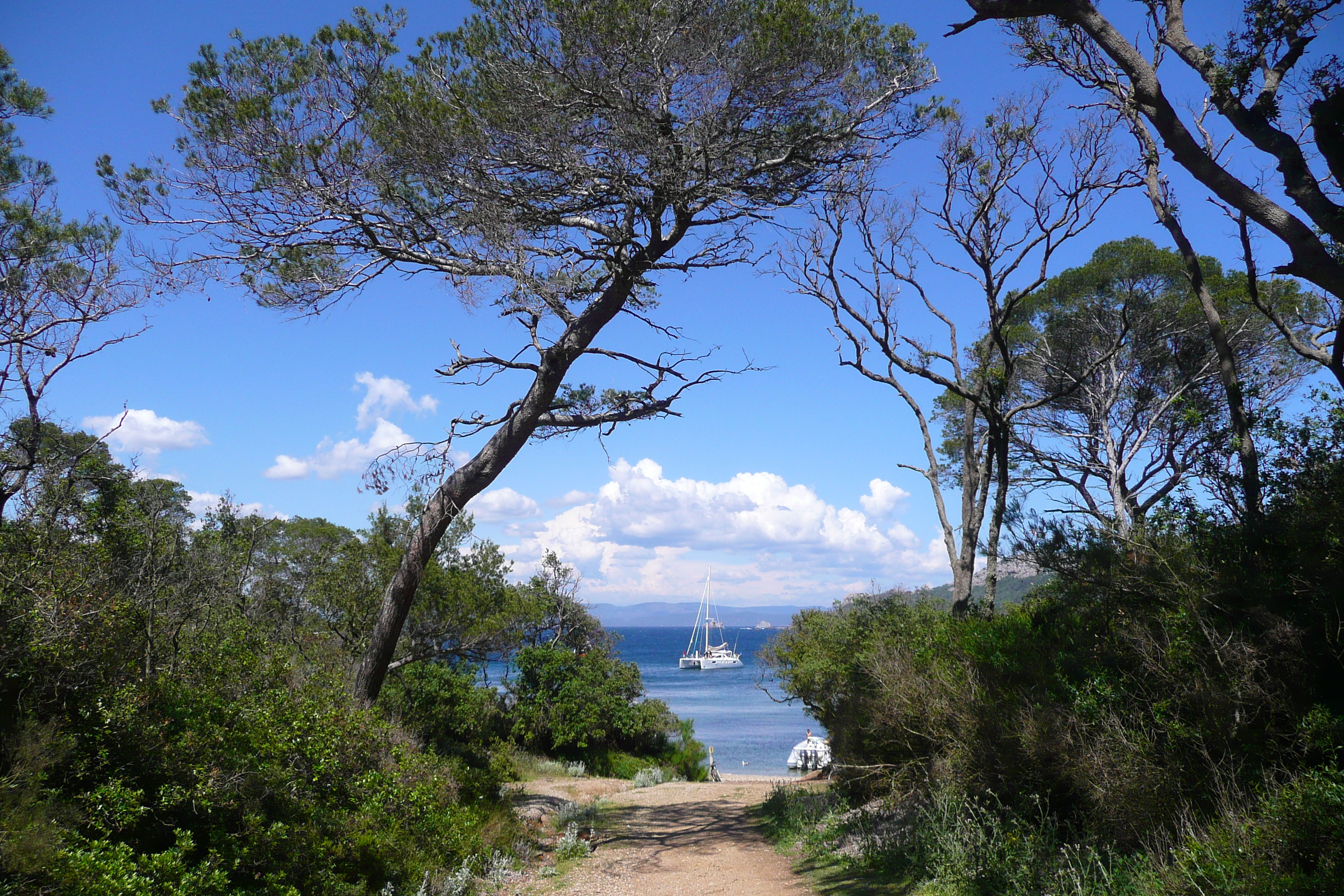 Picture France Porquerolles Island Alycastre beach 2008-05 19 - Center Alycastre beach