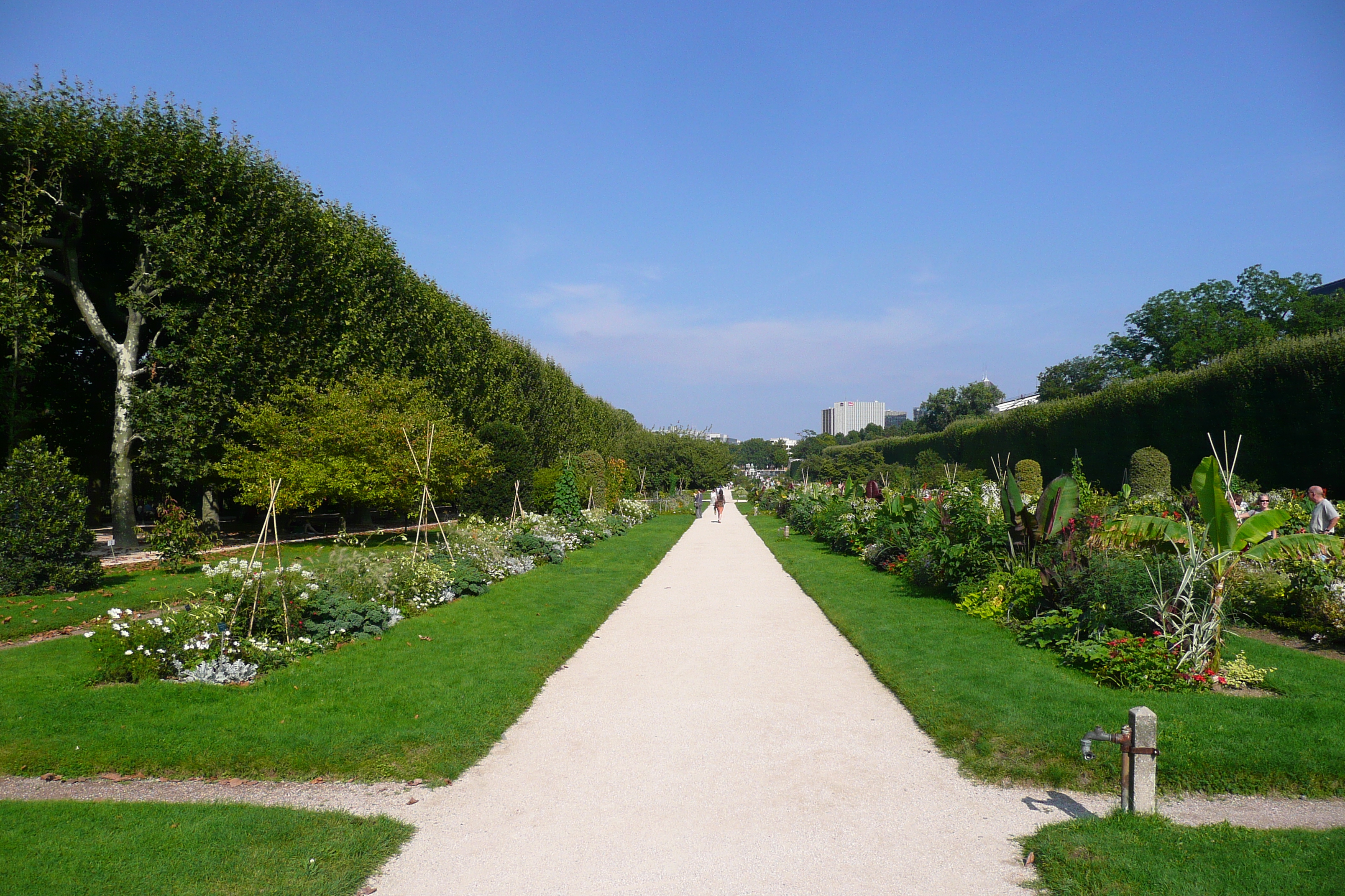 Picture France Paris Jardin des Plantes 2007-08 111 - Discovery Jardin des Plantes