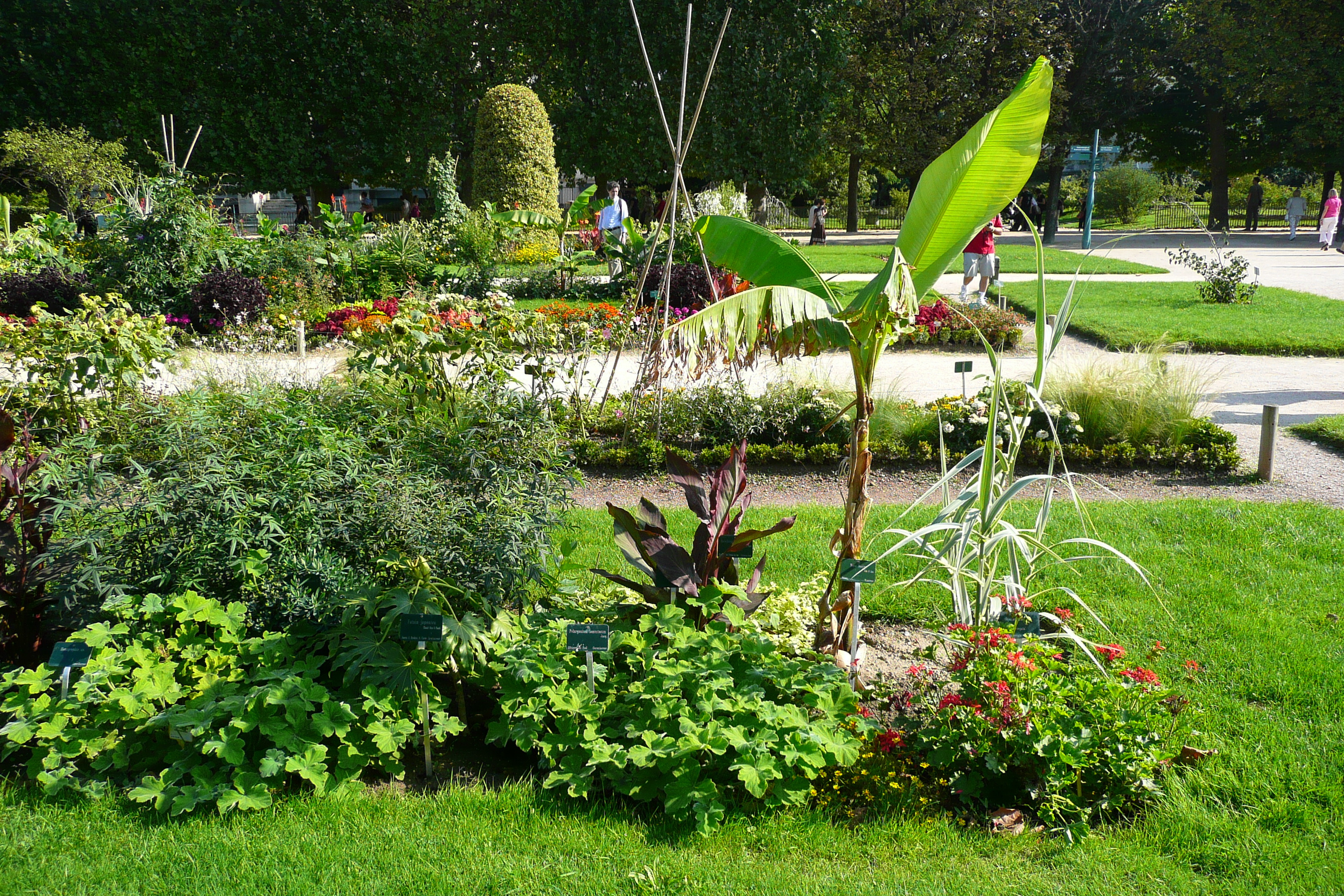 Picture France Paris Jardin des Plantes 2007-08 126 - Around Jardin des Plantes