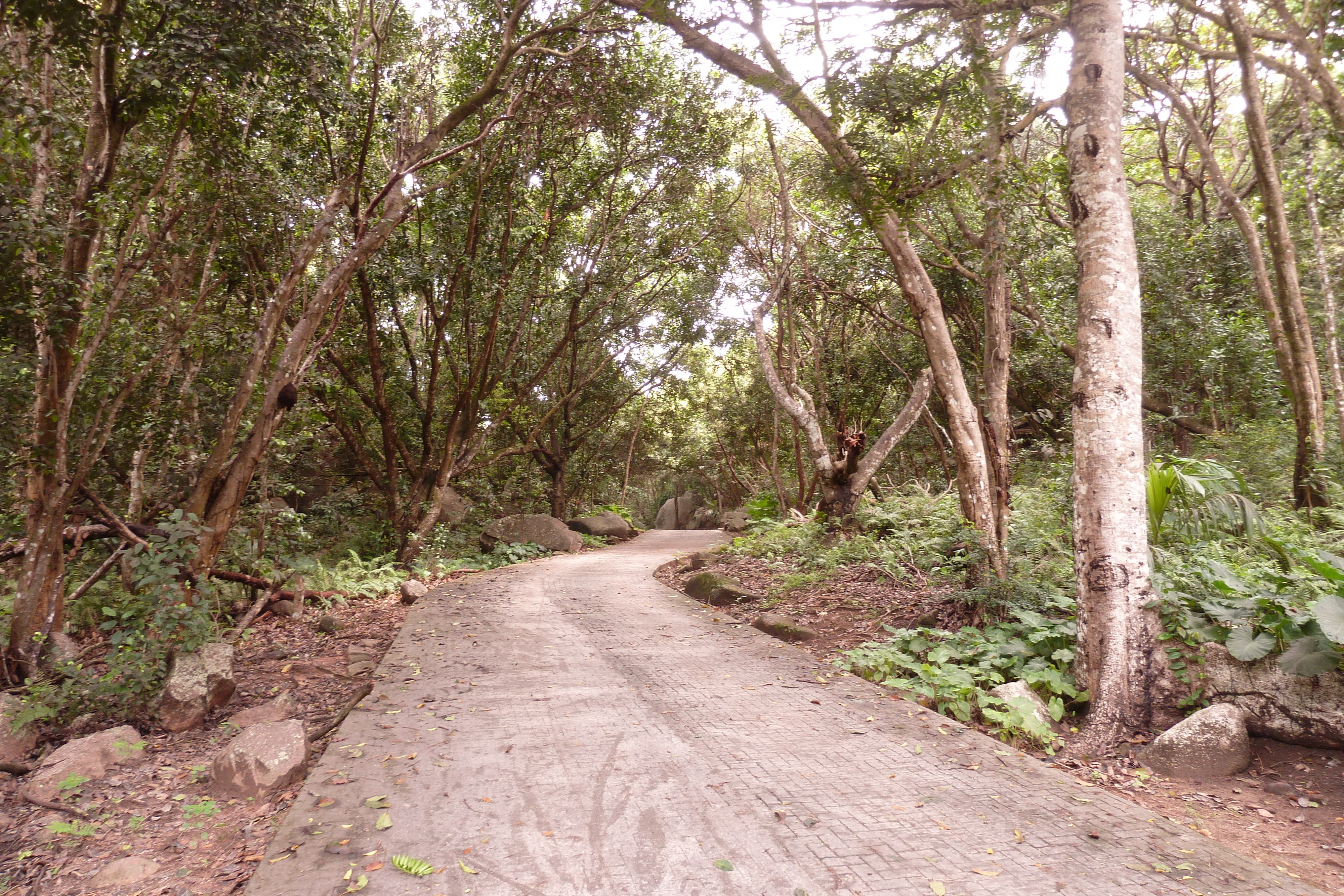 Picture Seychelles La Digue 2011-10 135 - History La Digue