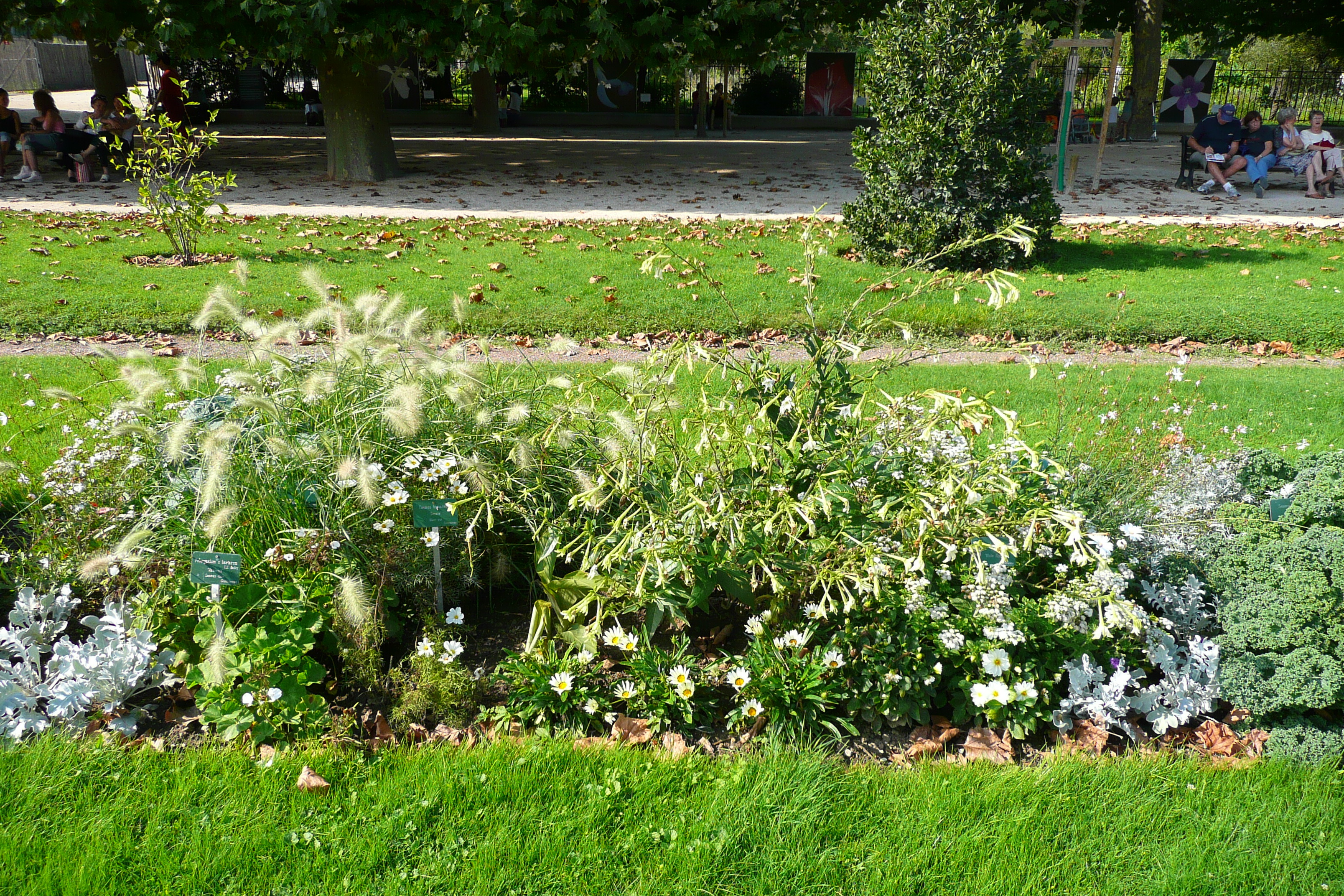 Picture France Paris Jardin des Plantes 2007-08 157 - History Jardin des Plantes