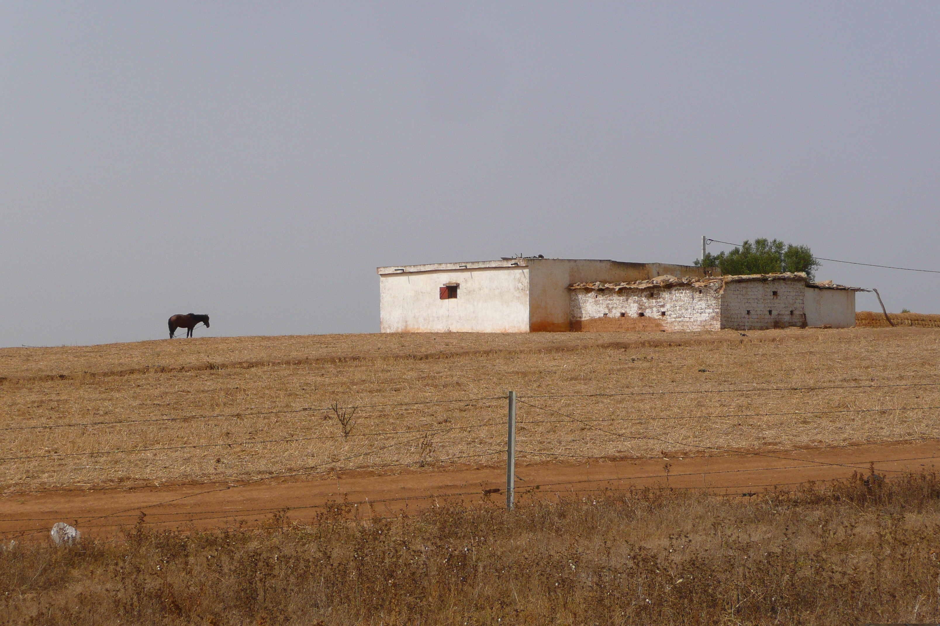 Picture Morocco Fes to Rabat Road 2008-07 50 - Recreation Fes to Rabat Road