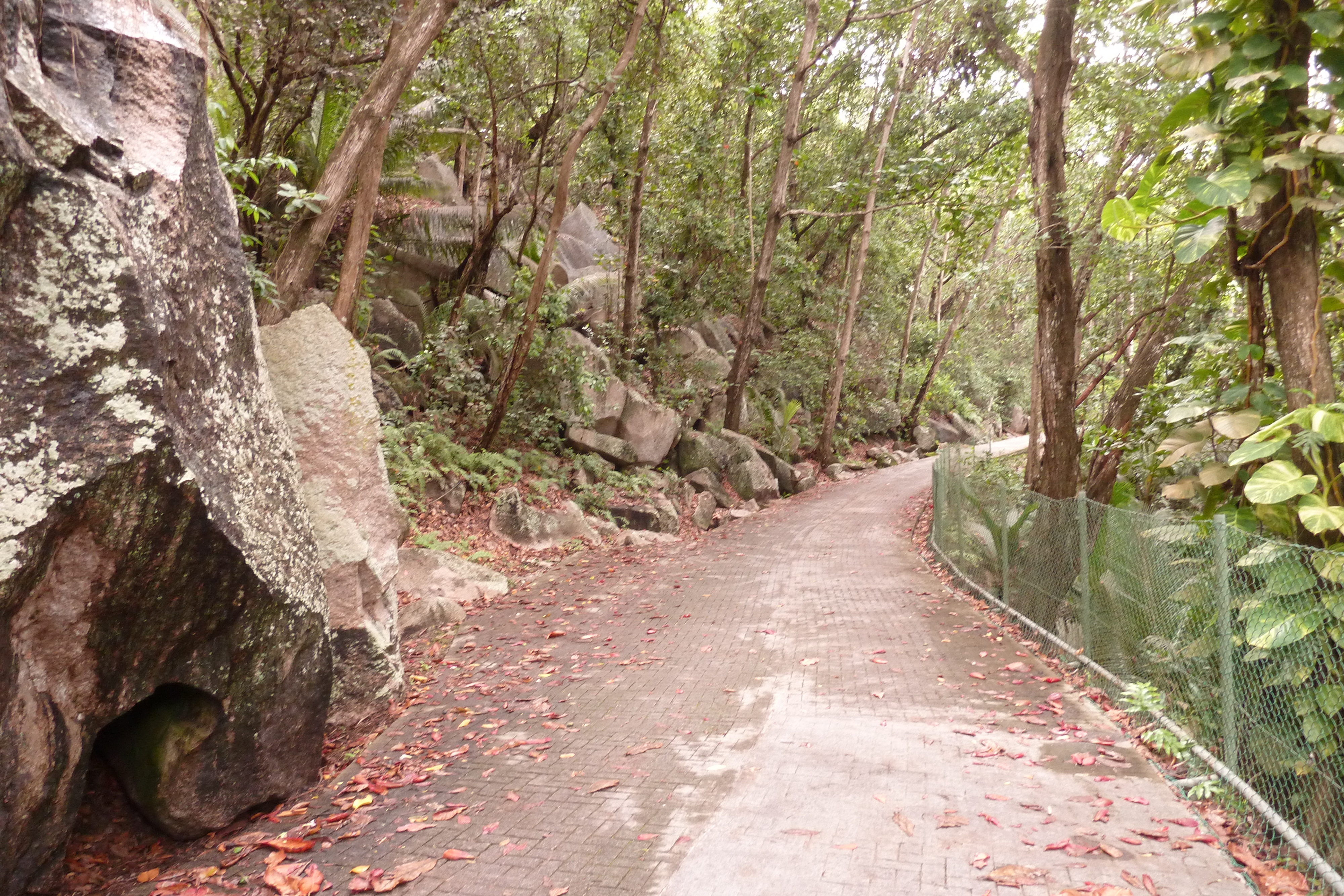 Picture Seychelles La Digue 2011-10 168 - Tours La Digue