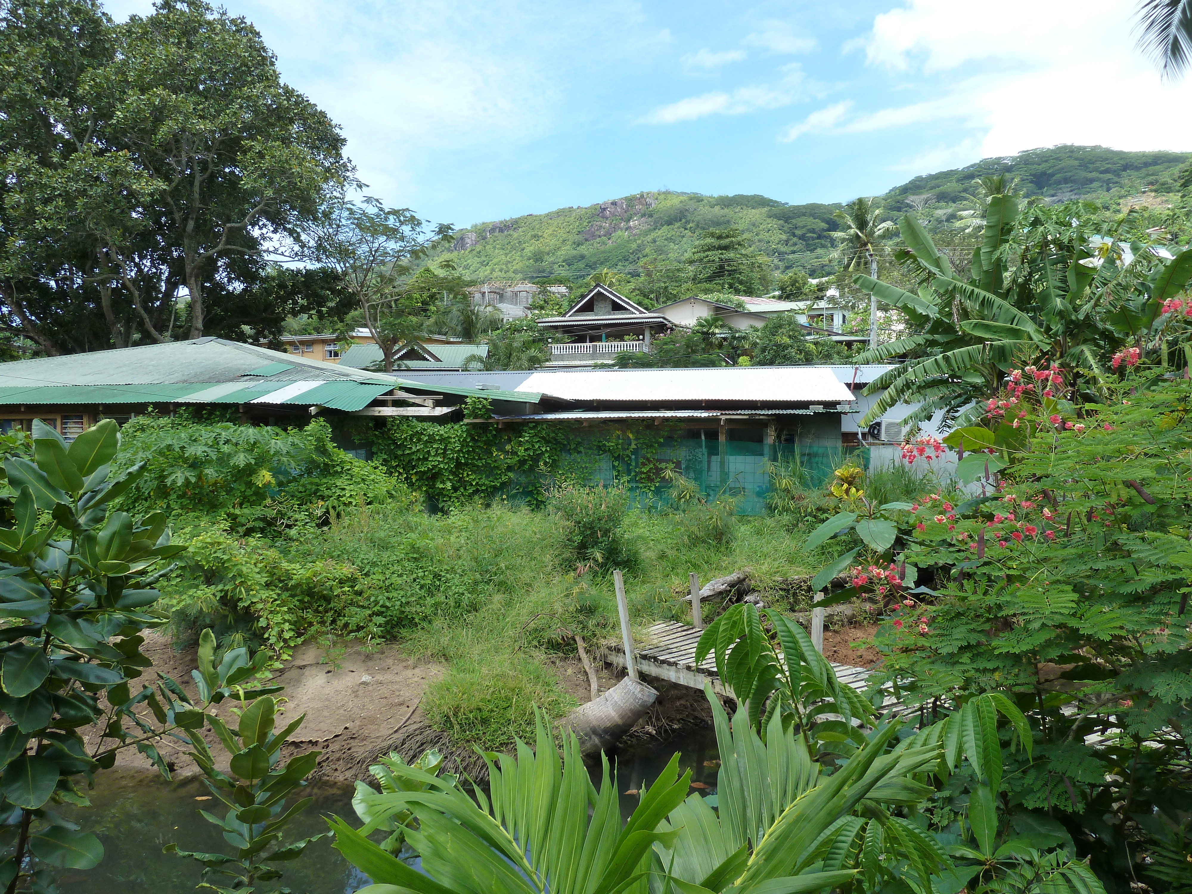 Picture Seychelles Mahe 2011-10 53 - Tour Mahe