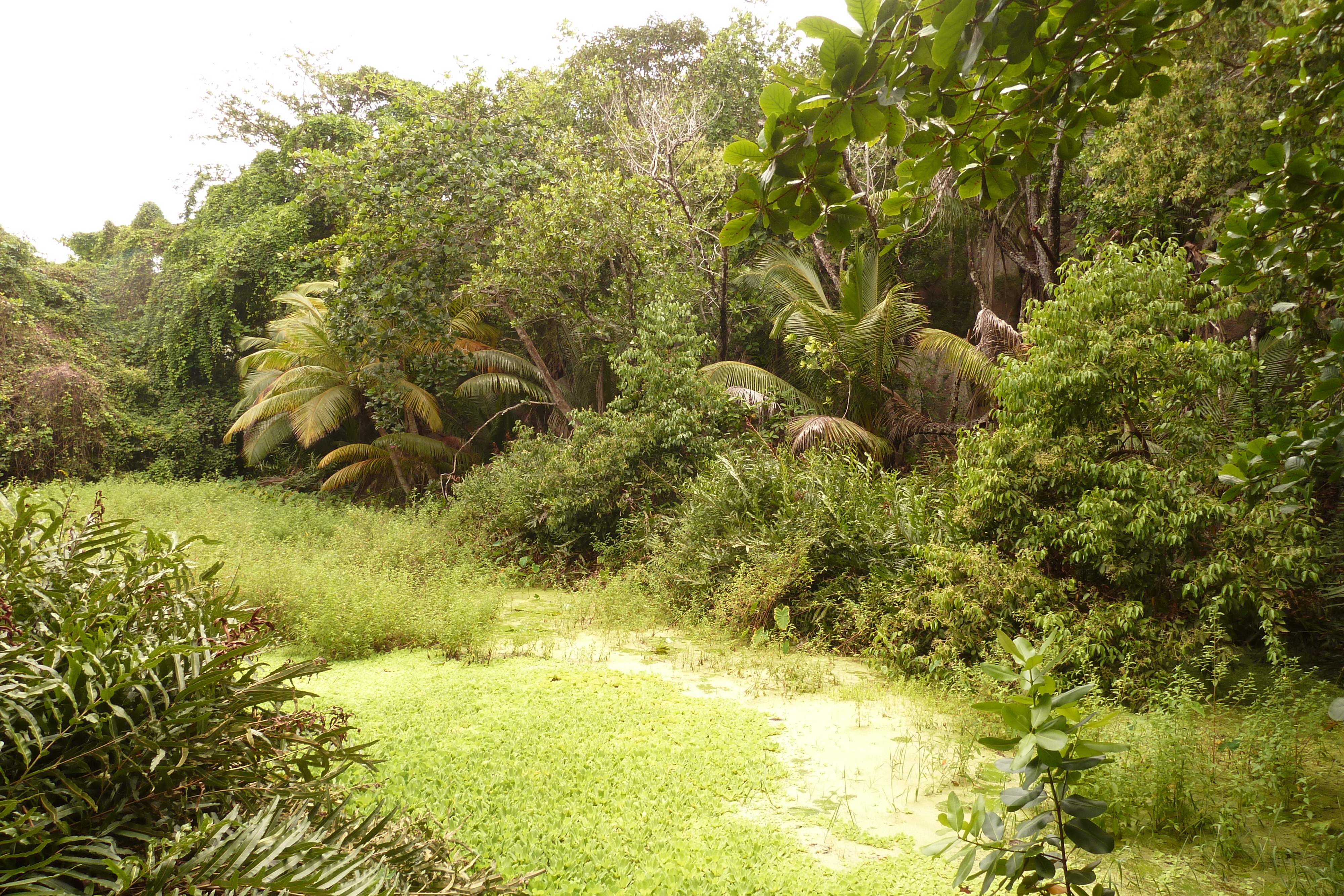 Picture Seychelles La Digue 2011-10 75 - Tour La Digue