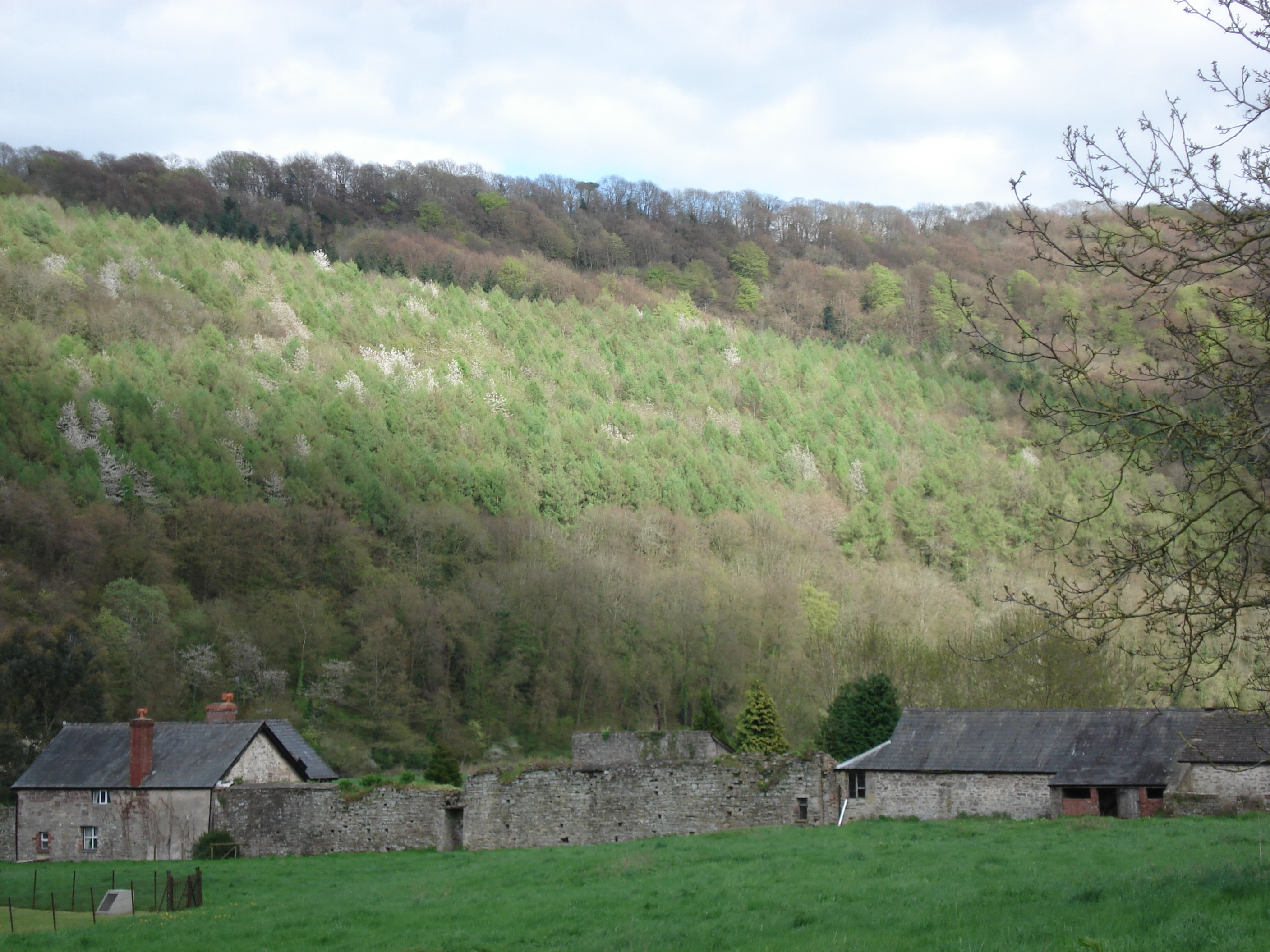 Picture United Kingdom Tintern 2006-05 19 - Center Tintern