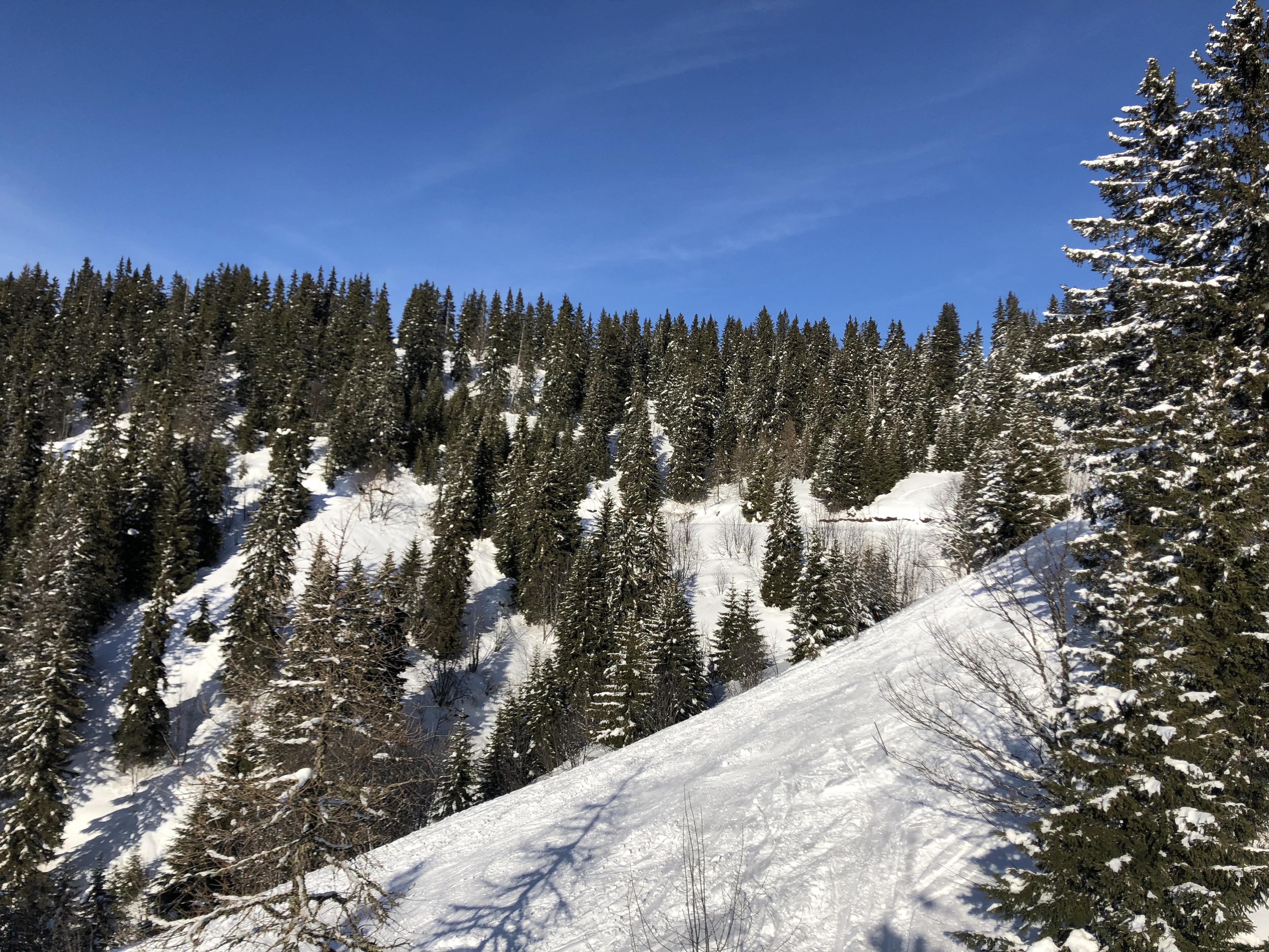 Picture France Praz sur Arly 2019-12 332 - Recreation Praz sur Arly