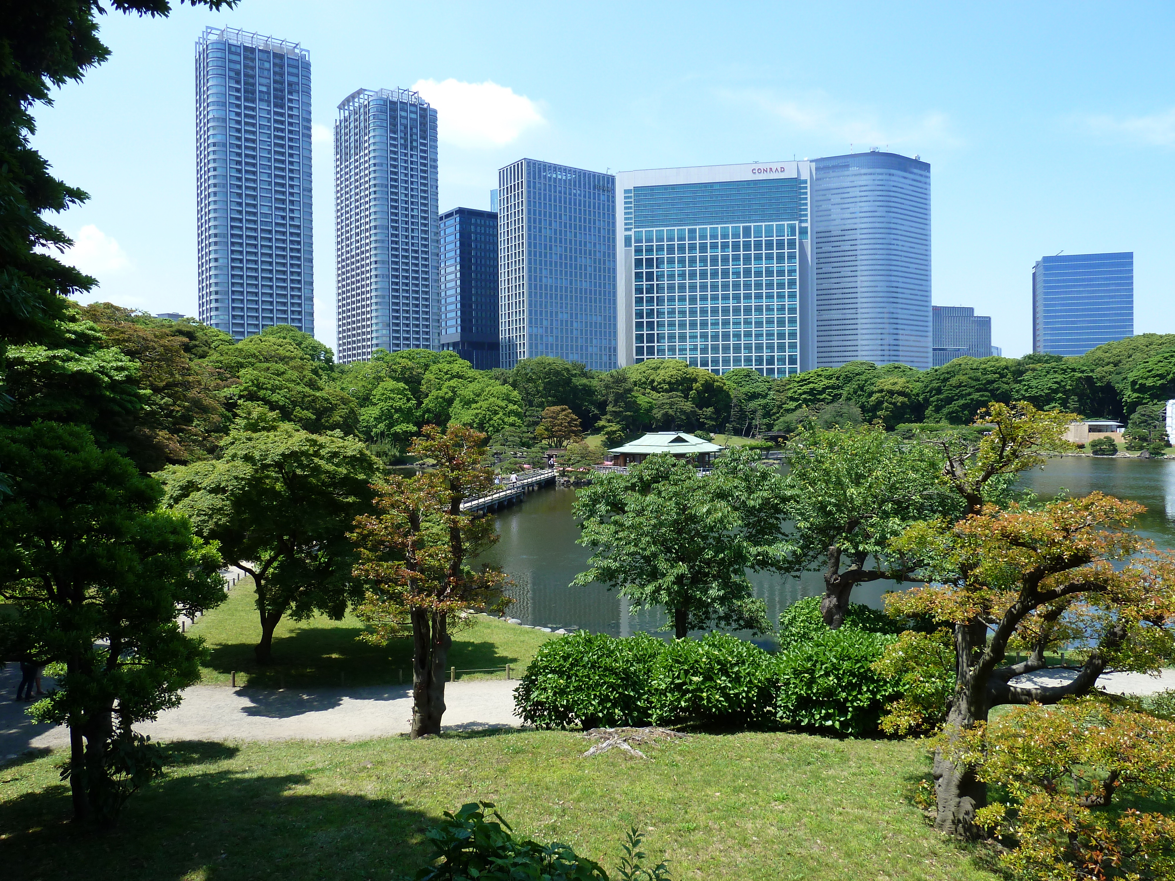 Picture Japan Tokyo 2010-06 16 - Around Tokyo