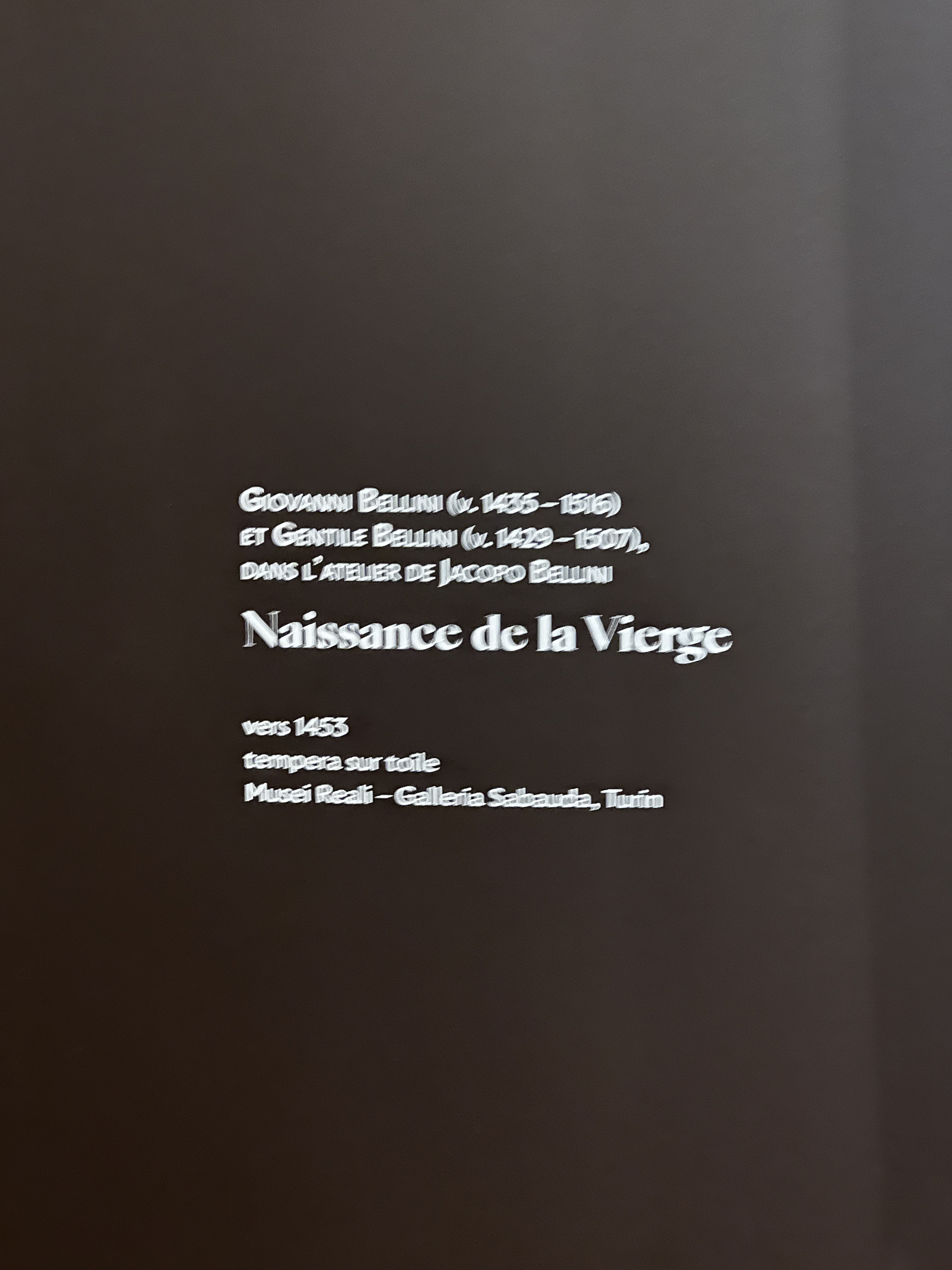 Picture France Paris Jacquemart Andre Museum 2023-04 14 - Tours Jacquemart Andre Museum