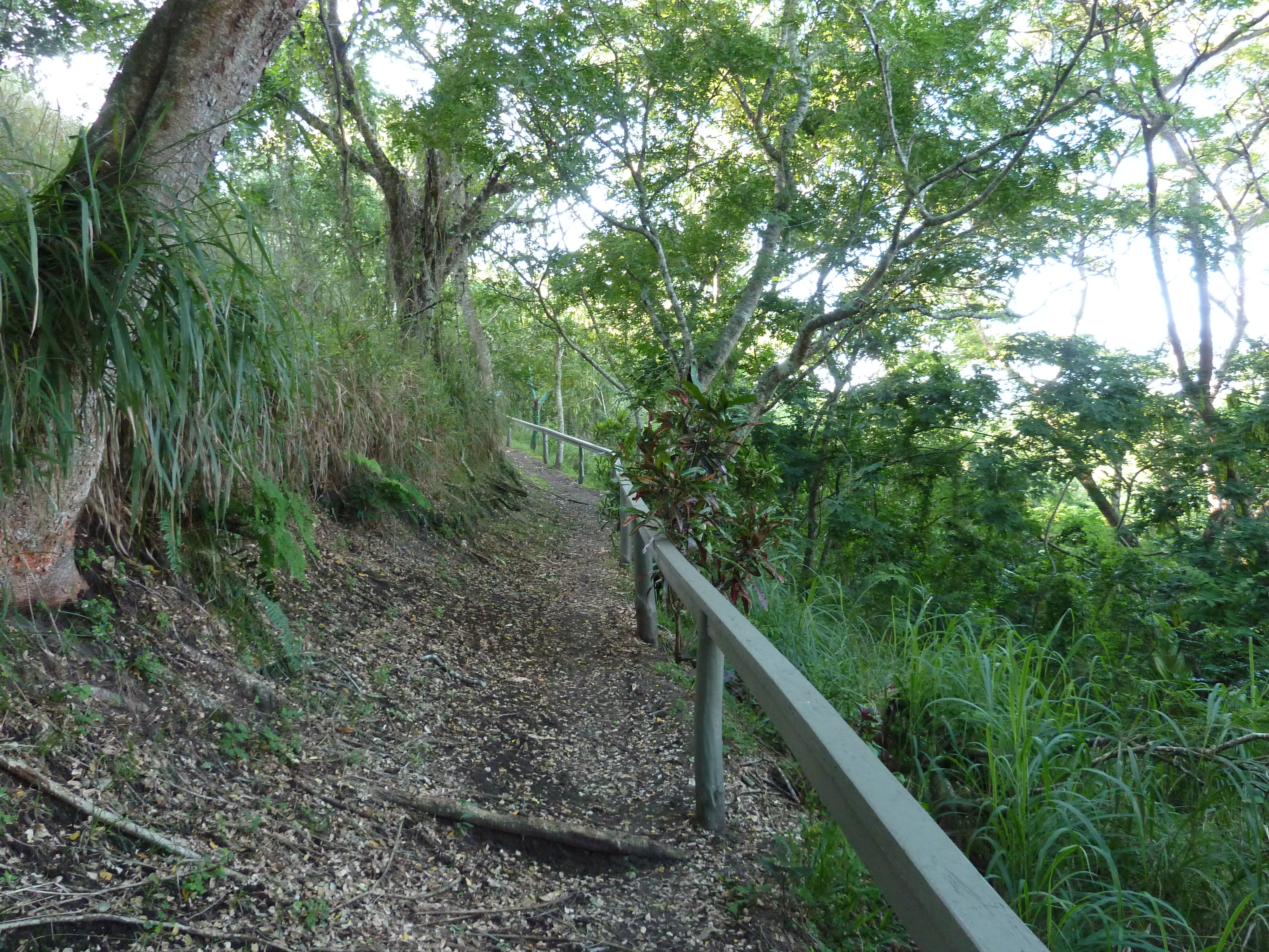 Picture Fiji Sigatoka sand dunes national park 2010-05 47 - Tour Sigatoka sand dunes national park