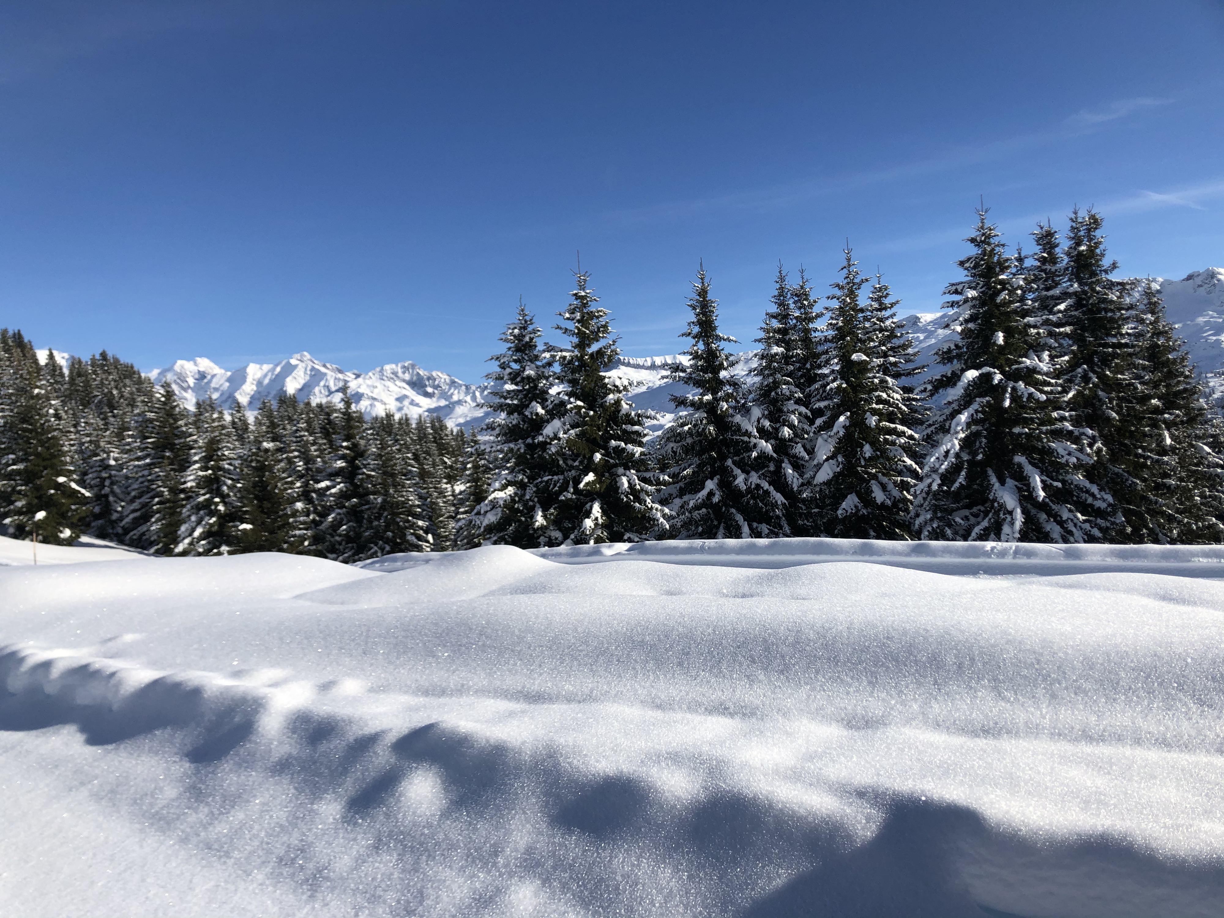 Picture France Praz sur Arly 2019-12 81 - Tours Praz sur Arly