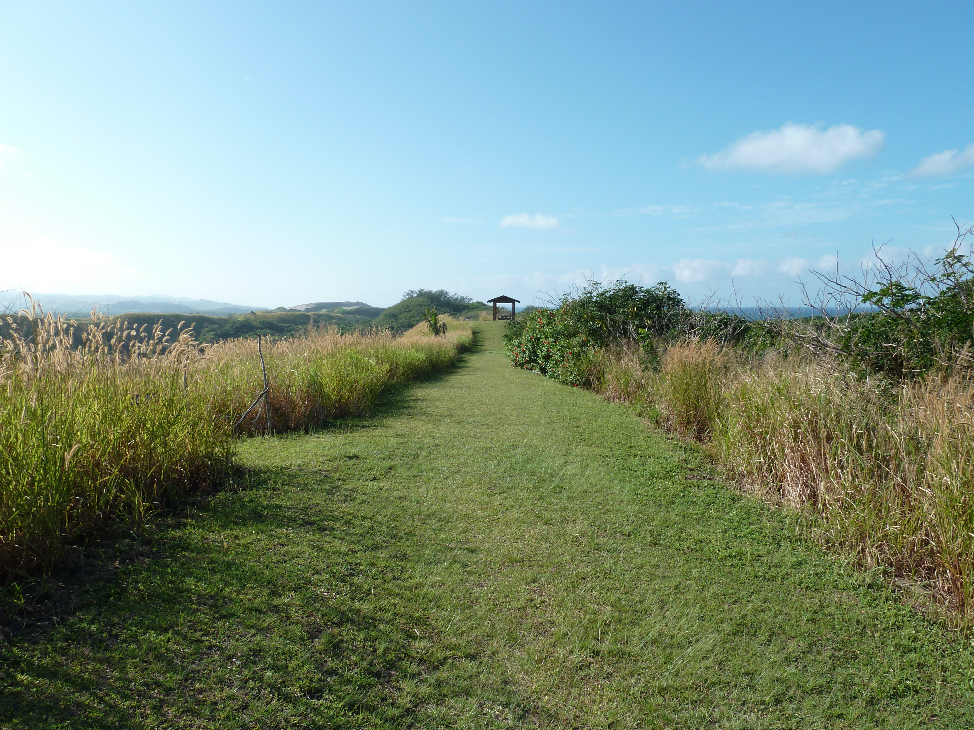 Picture Fiji Sigatoka sand dunes national park 2010-05 39 - Discovery Sigatoka sand dunes national park