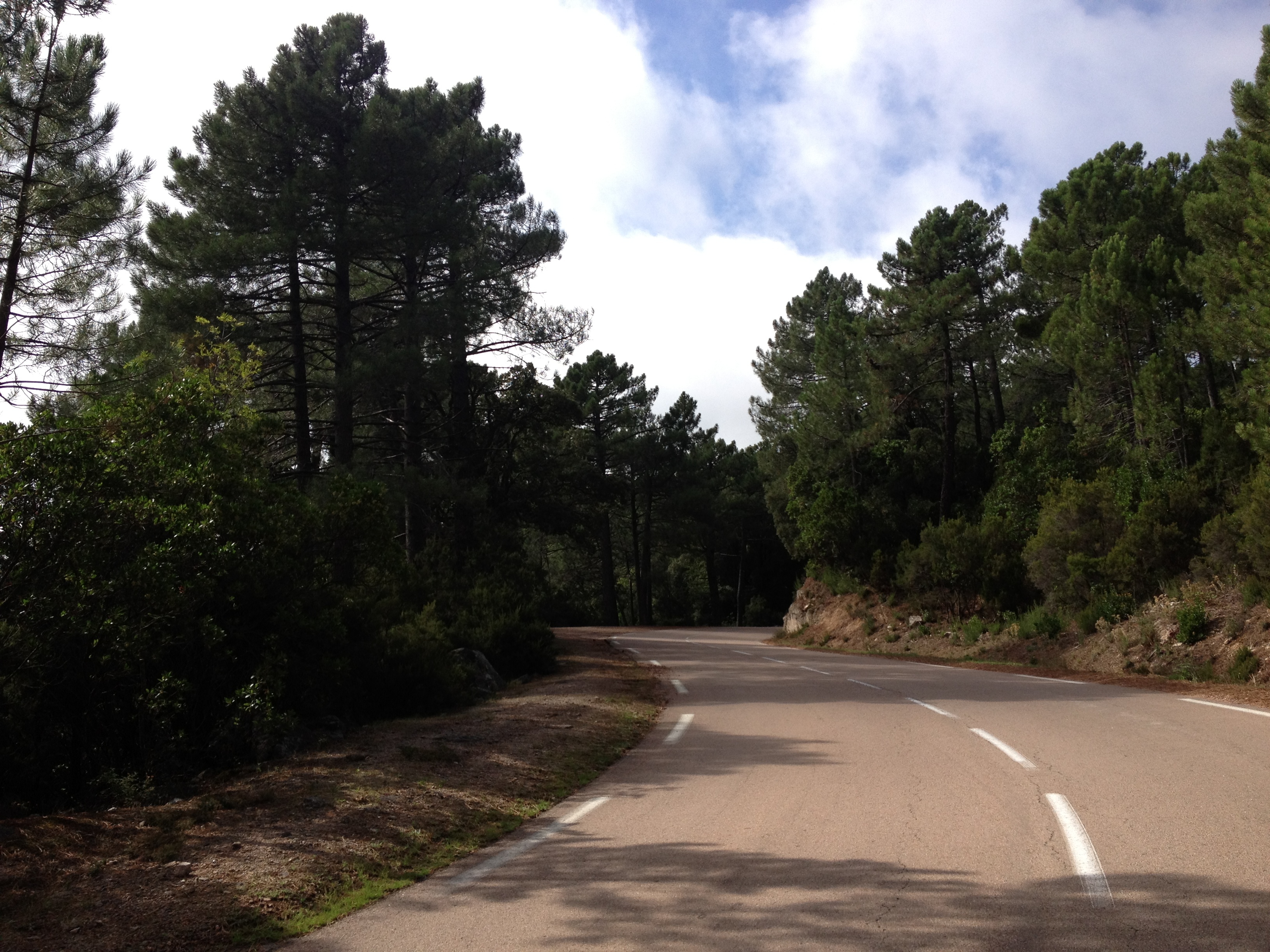 Picture France Corsica L'ospedale Forest 2012-09 65 - Recreation L'ospedale Forest