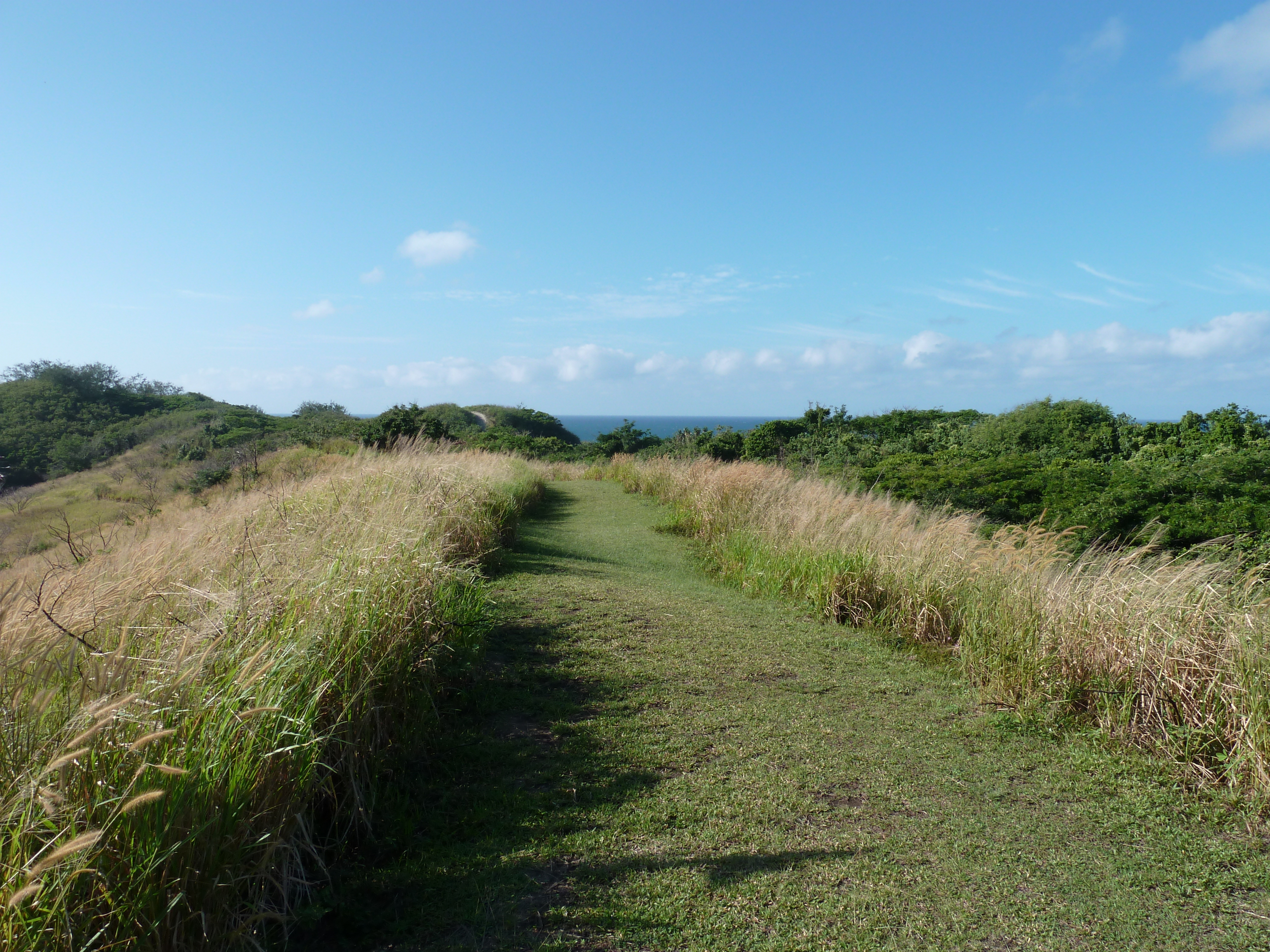 Picture Fiji Sigatoka sand dunes national park 2010-05 32 - History Sigatoka sand dunes national park