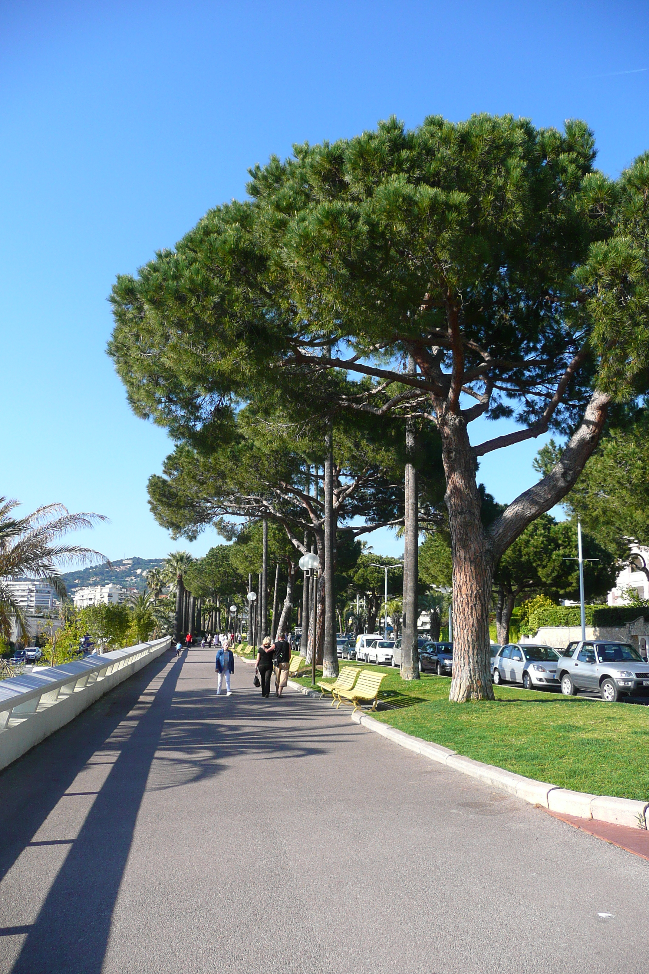 Picture France Cannes Port Pierre Canto 2008-05 41 - Center Port Pierre Canto