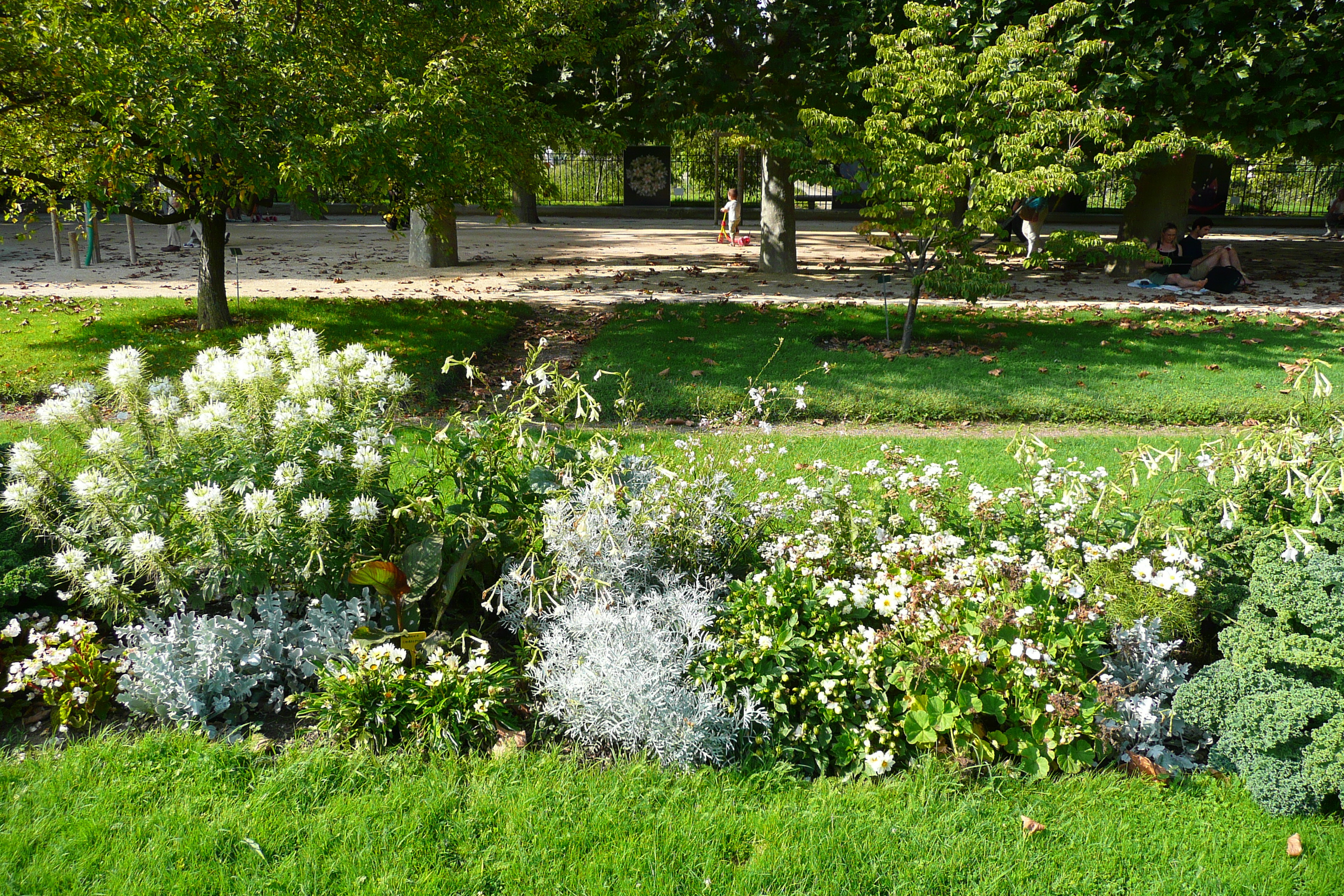 Picture France Paris Jardin des Plantes 2007-08 213 - Discovery Jardin des Plantes