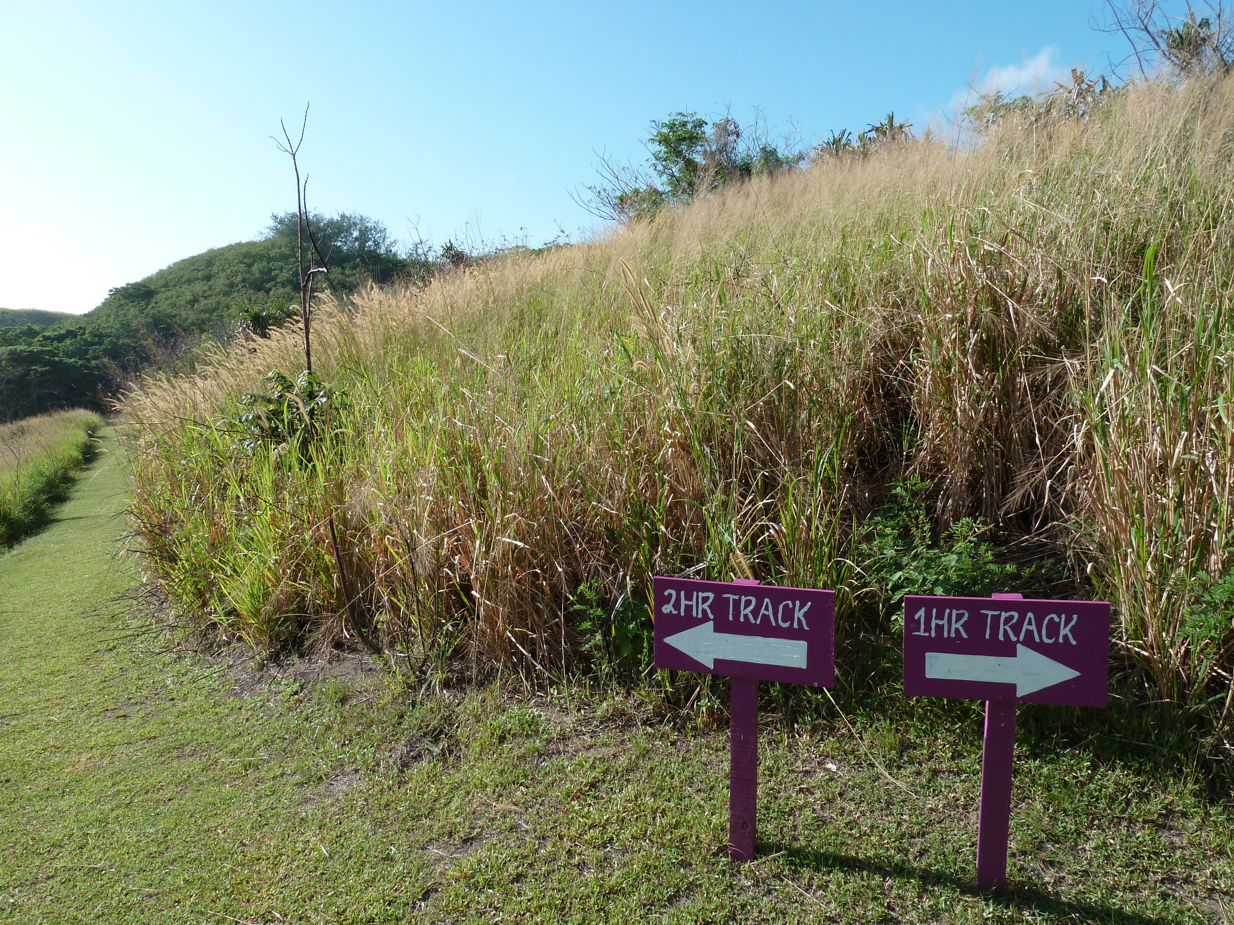 Picture Fiji Sigatoka sand dunes national park 2010-05 27 - Around Sigatoka sand dunes national park