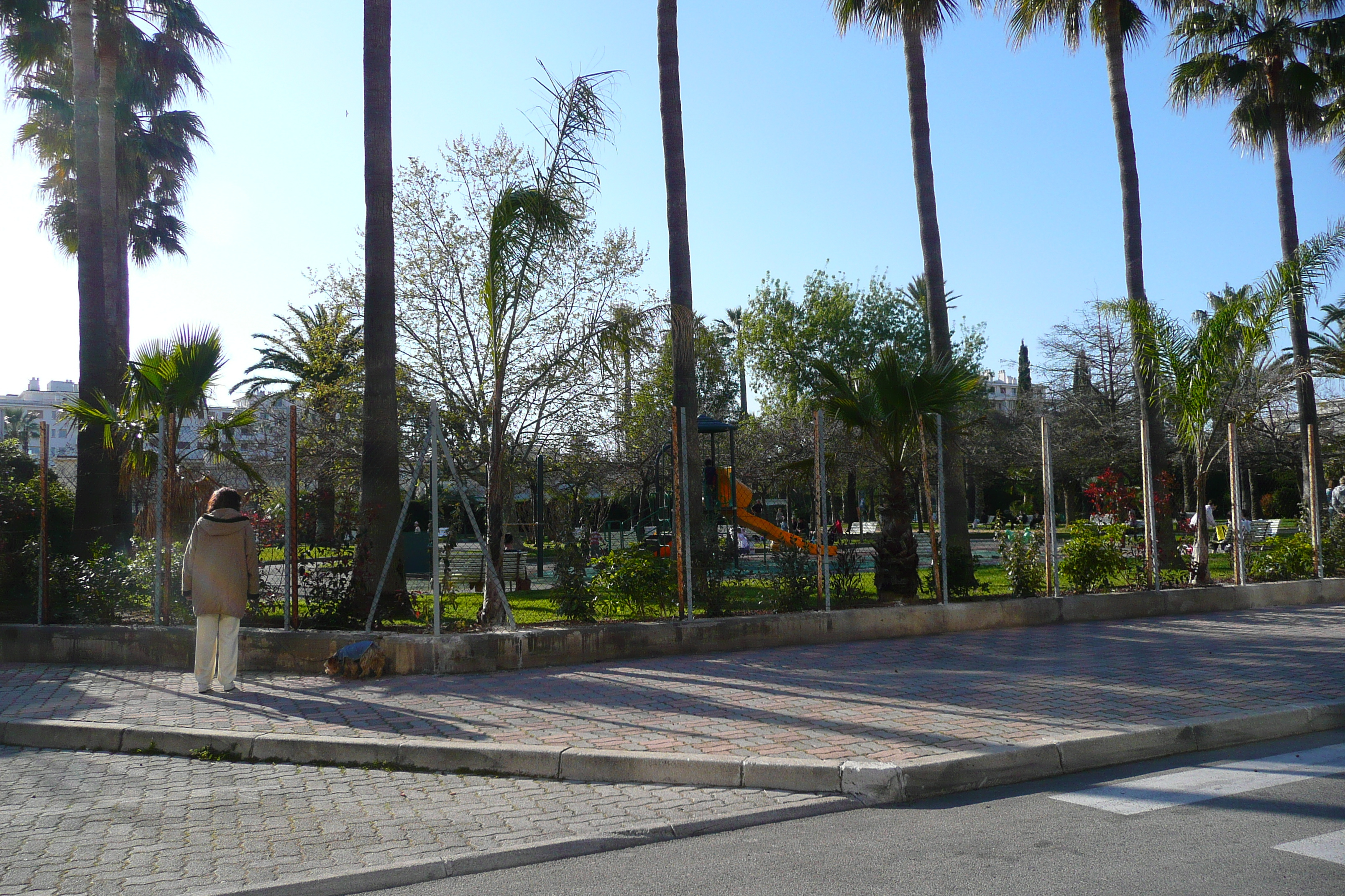 Picture France Cannes Avenue de Lerins 2008-03 19 - Discovery Avenue de Lerins