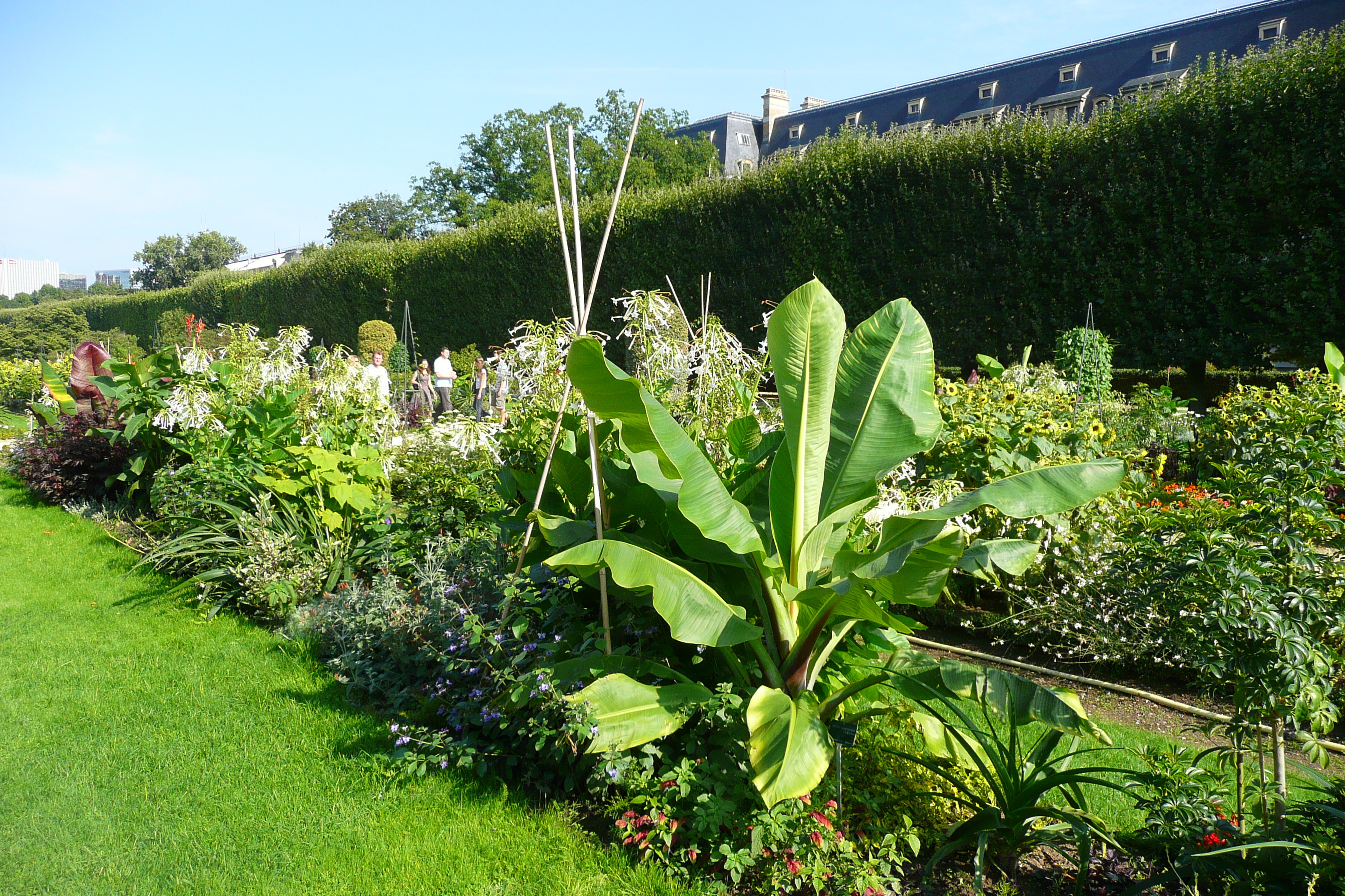 Picture France Paris Jardin des Plantes 2007-08 229 - Journey Jardin des Plantes