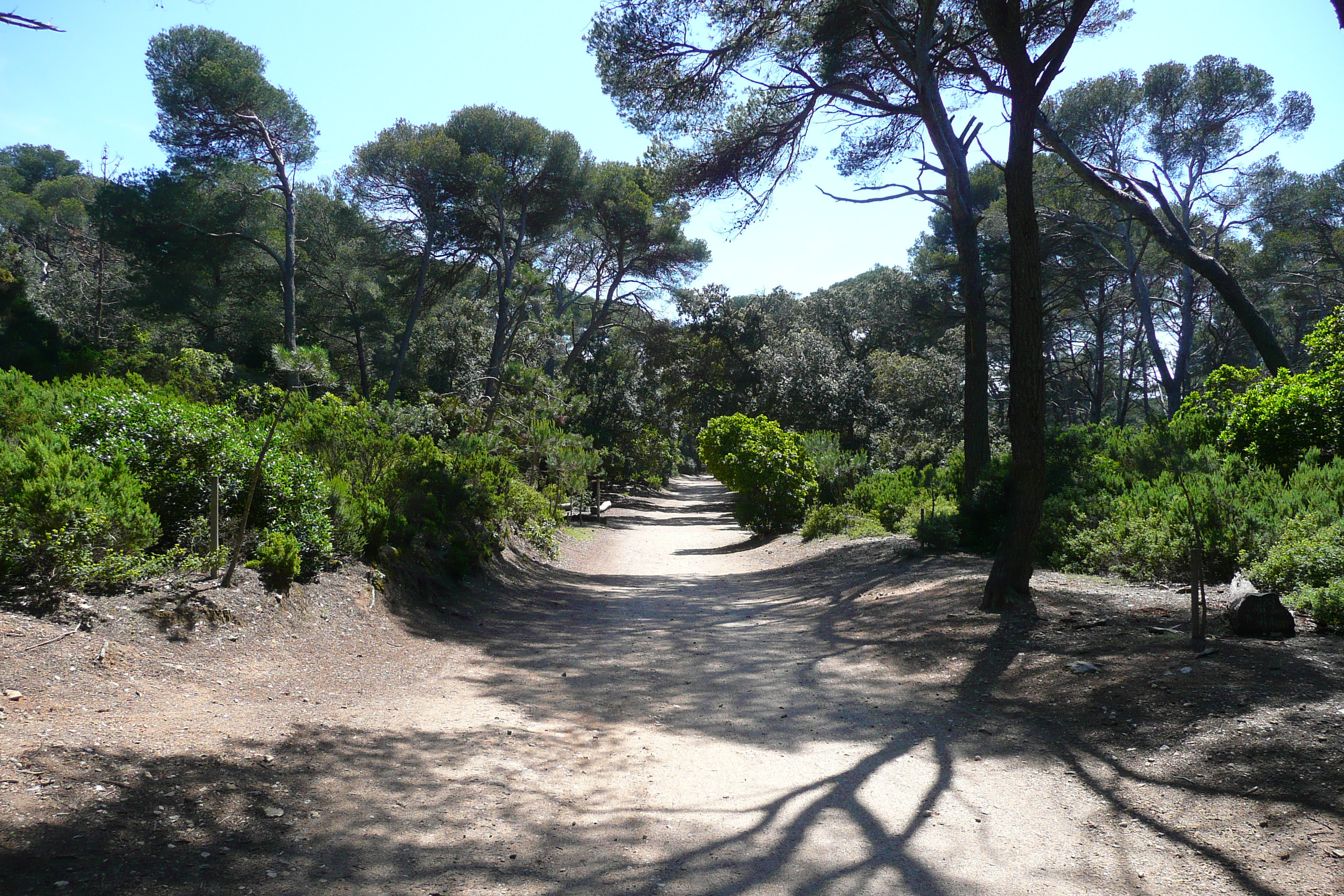 Picture France Porquerolles Island Pointe du Lequin 2008-05 71 - Tour Pointe du Lequin