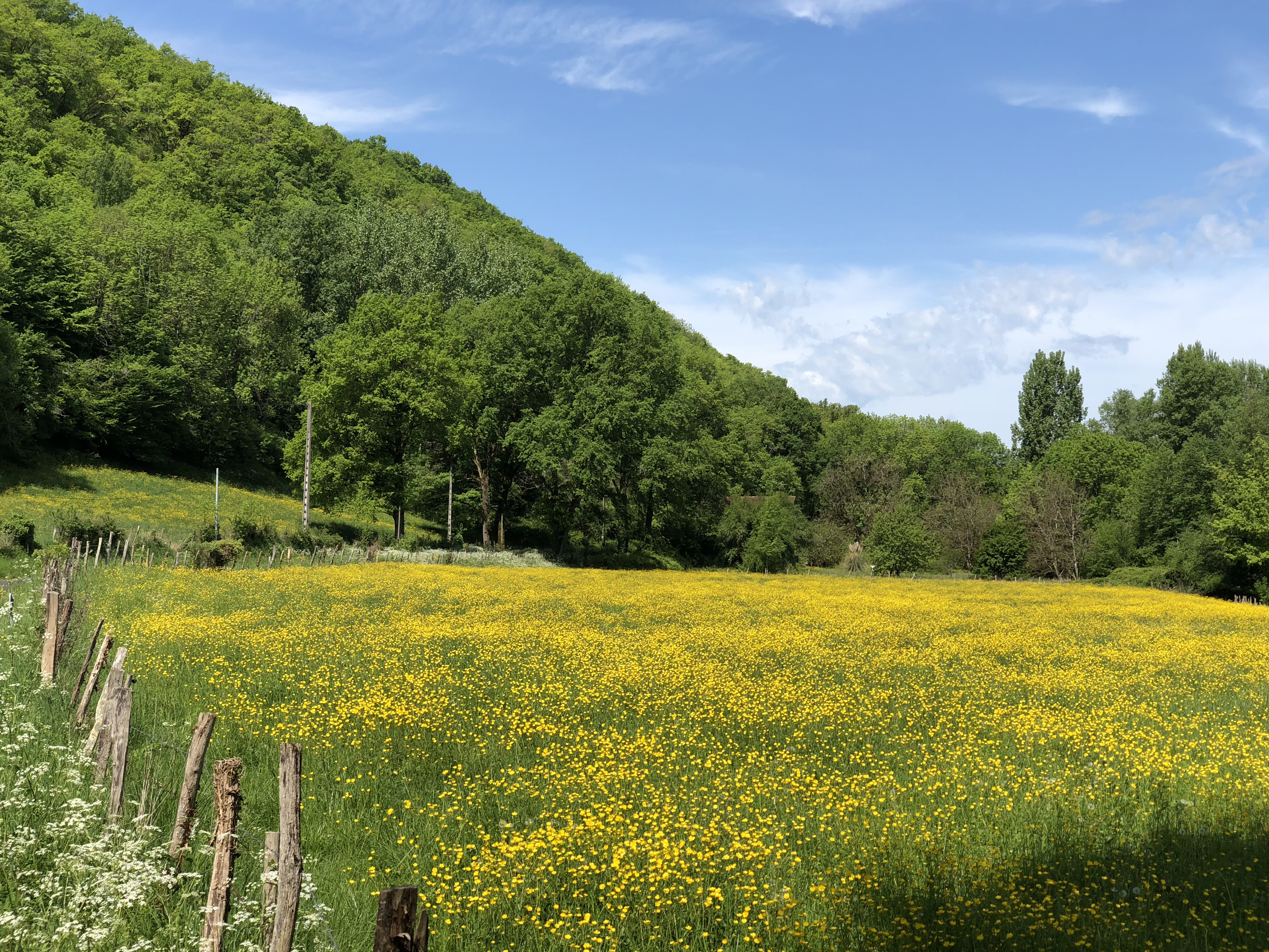 Picture France Floirac 2018-04 87 - Tours Floirac