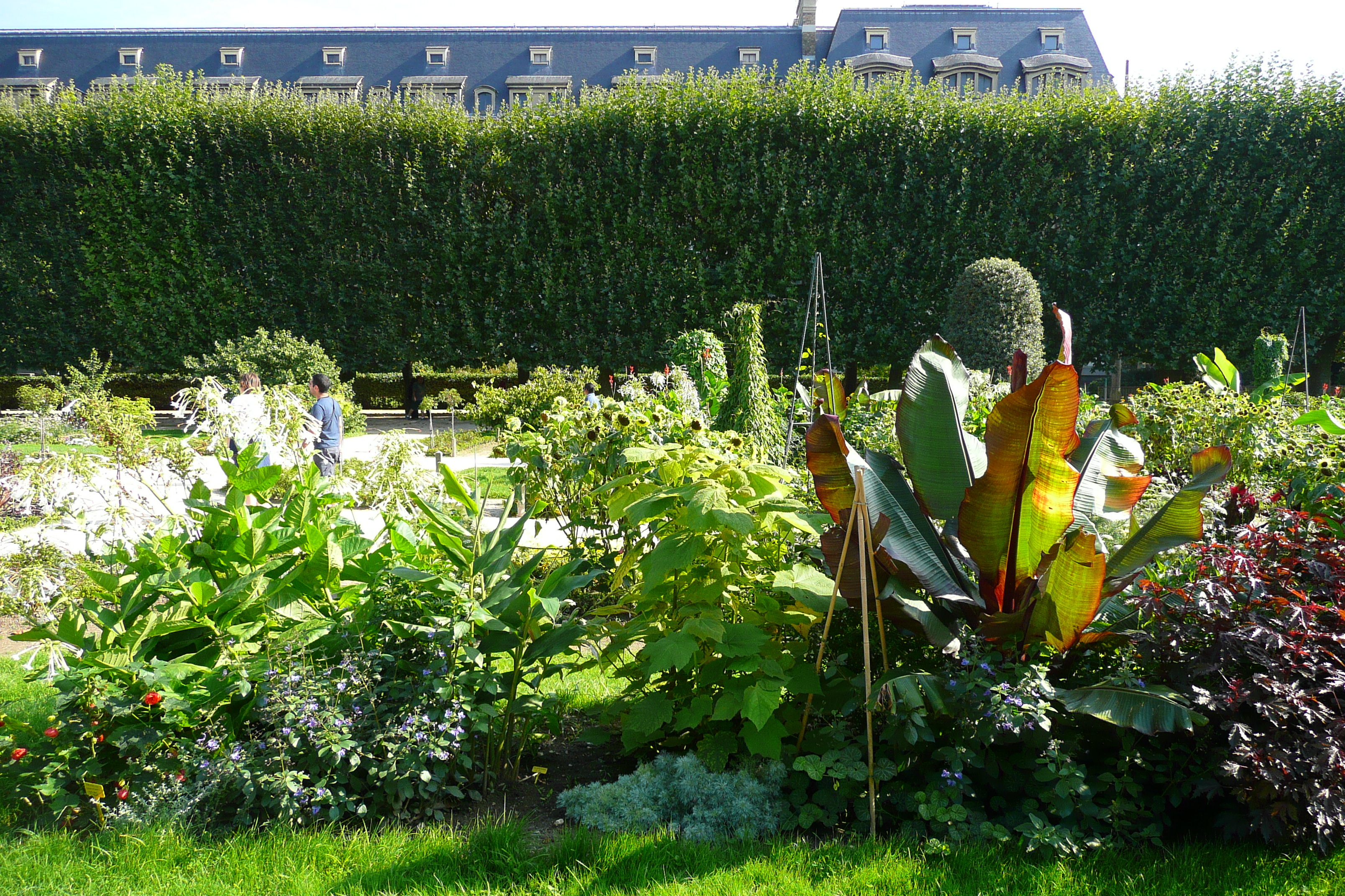 Picture France Paris Jardin des Plantes 2007-08 194 - Discovery Jardin des Plantes