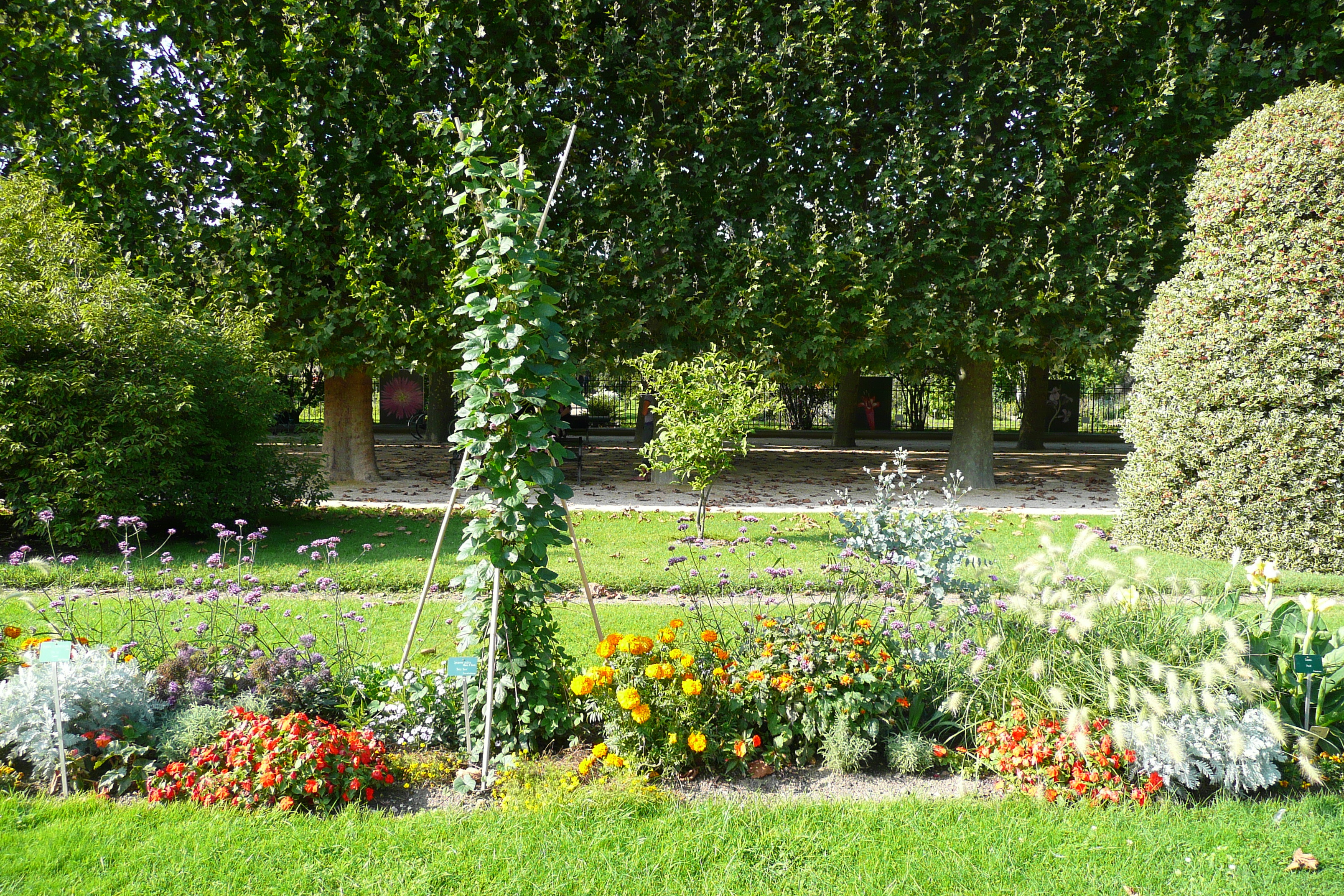 Picture France Paris Jardin des Plantes 2007-08 175 - Around Jardin des Plantes