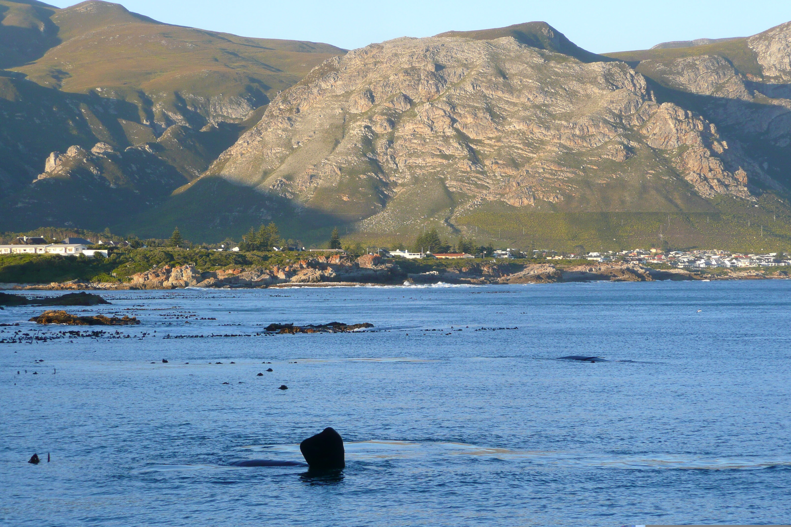 Picture South Africa Harmanus 2008-09 160 - History Harmanus