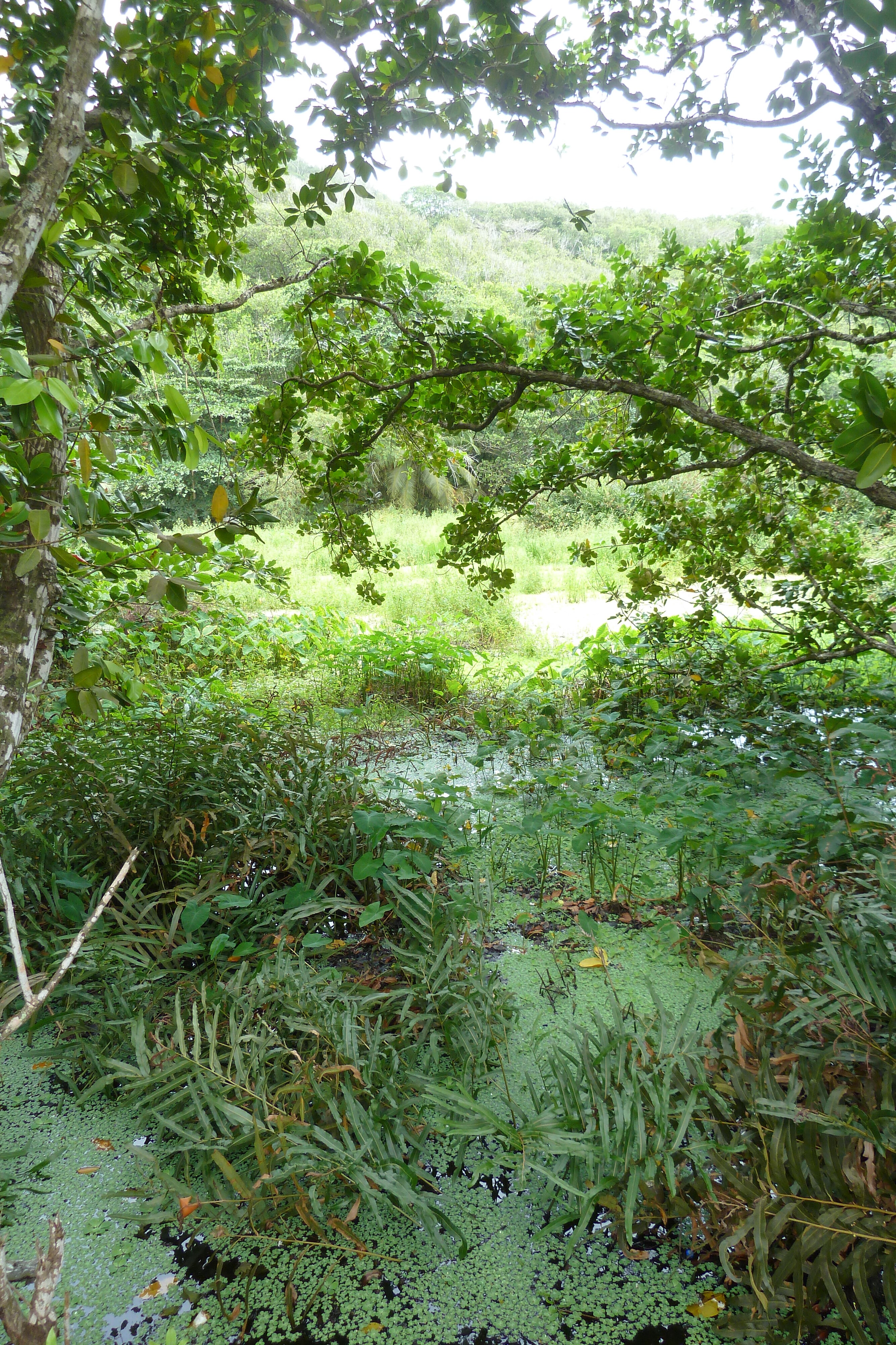 Picture Seychelles La Digue 2011-10 123 - Recreation La Digue