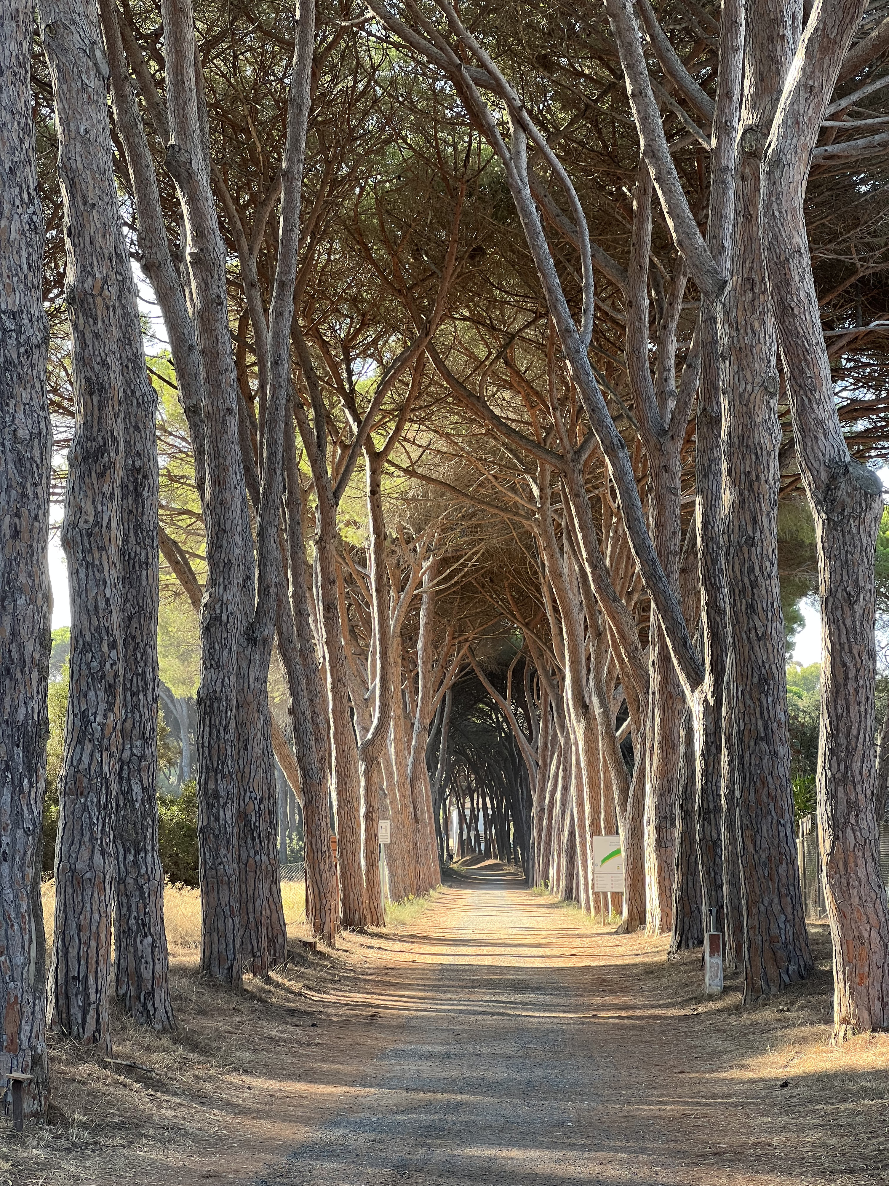 Picture Italy Orbetello 2021-09 0 - History Orbetello