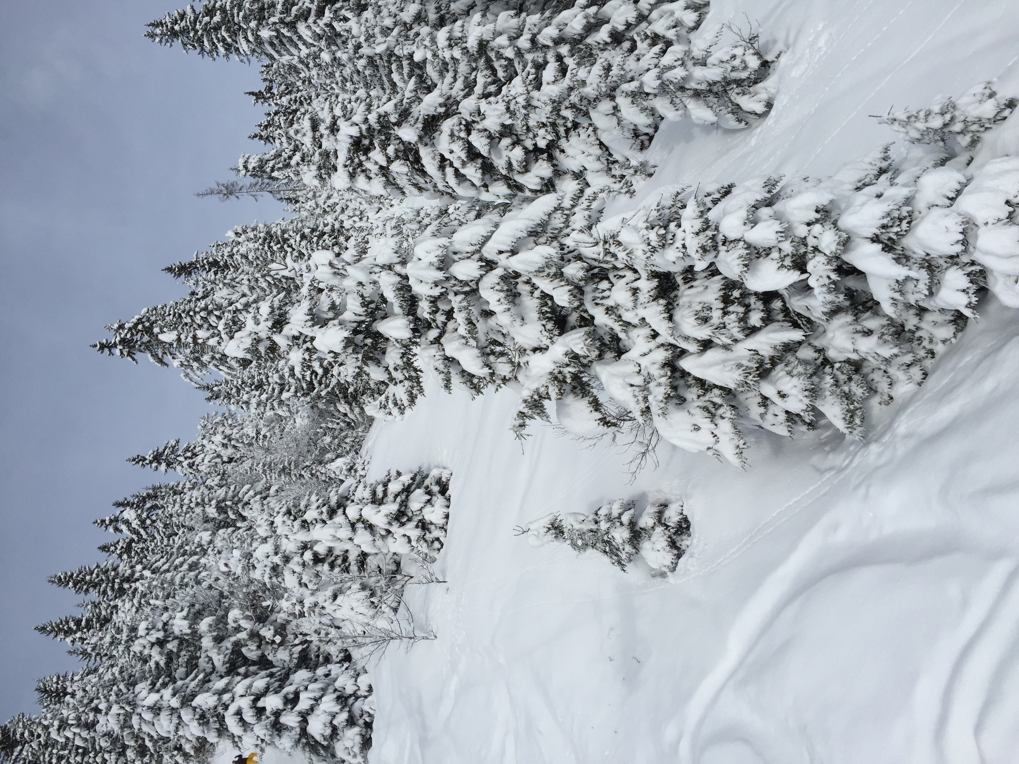 Picture France Megeve 2016-02 28 - Tours Megeve