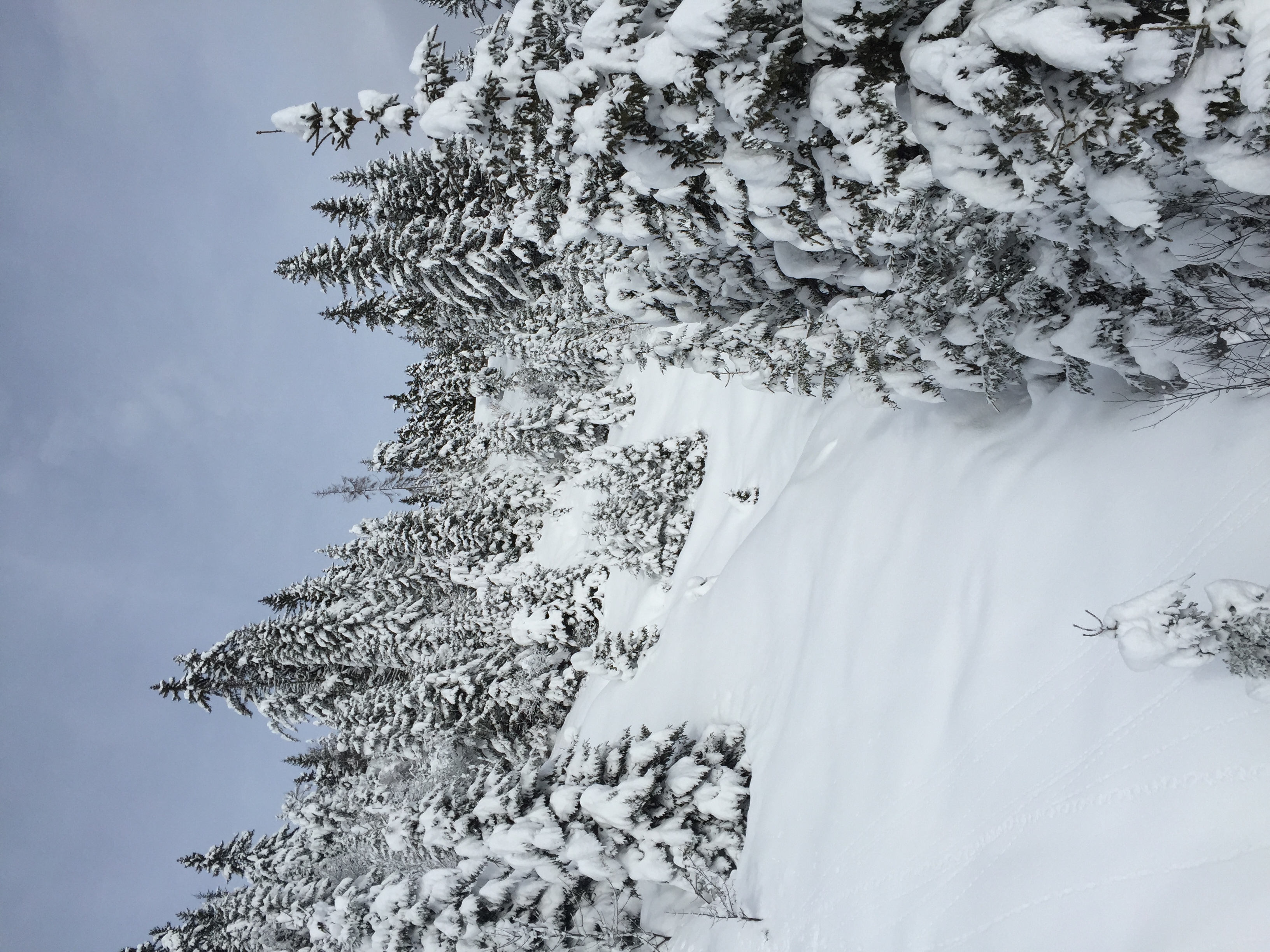 Picture France Megeve 2016-02 29 - Center Megeve