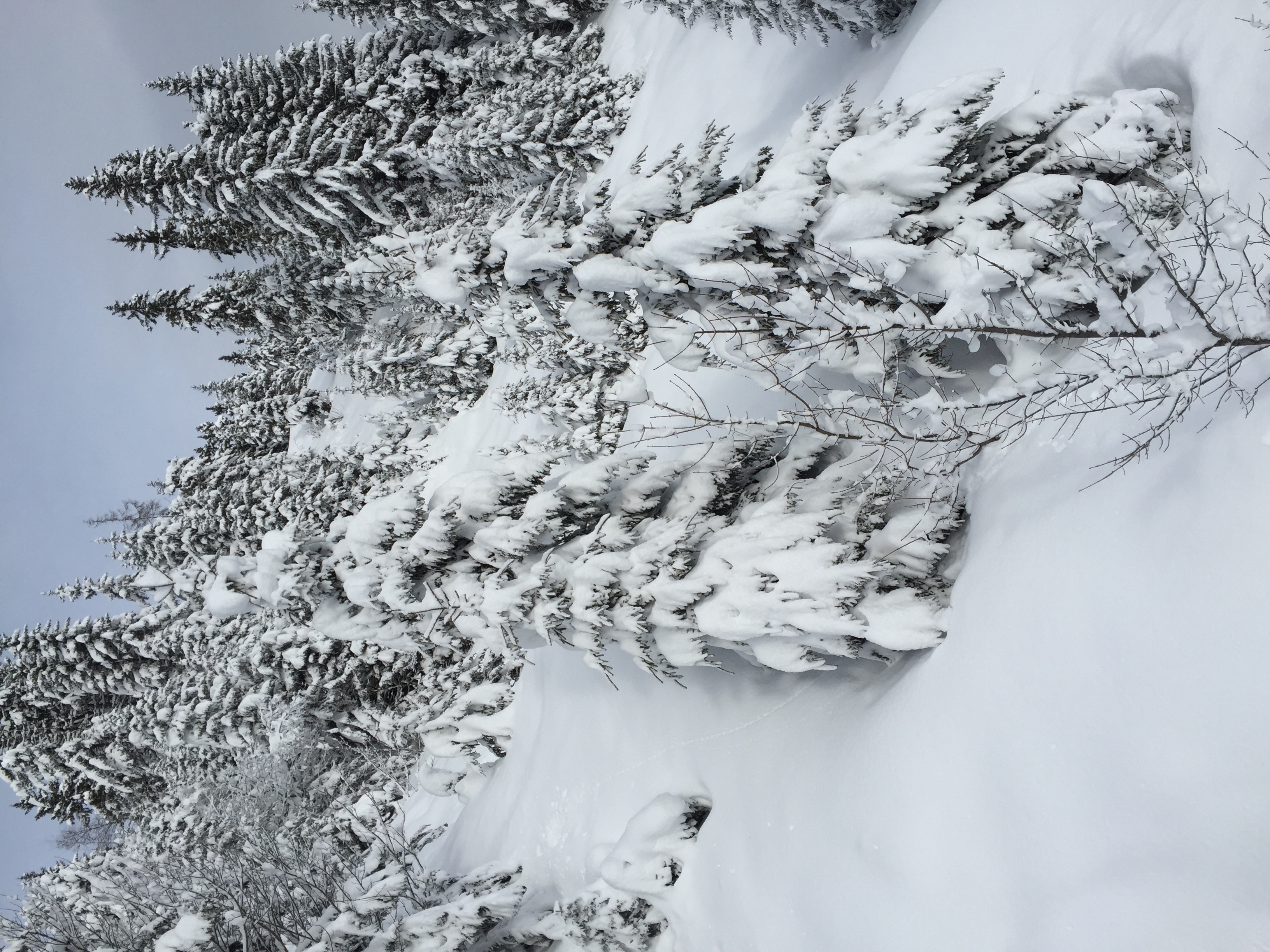 Picture France Megeve 2016-02 45 - History Megeve