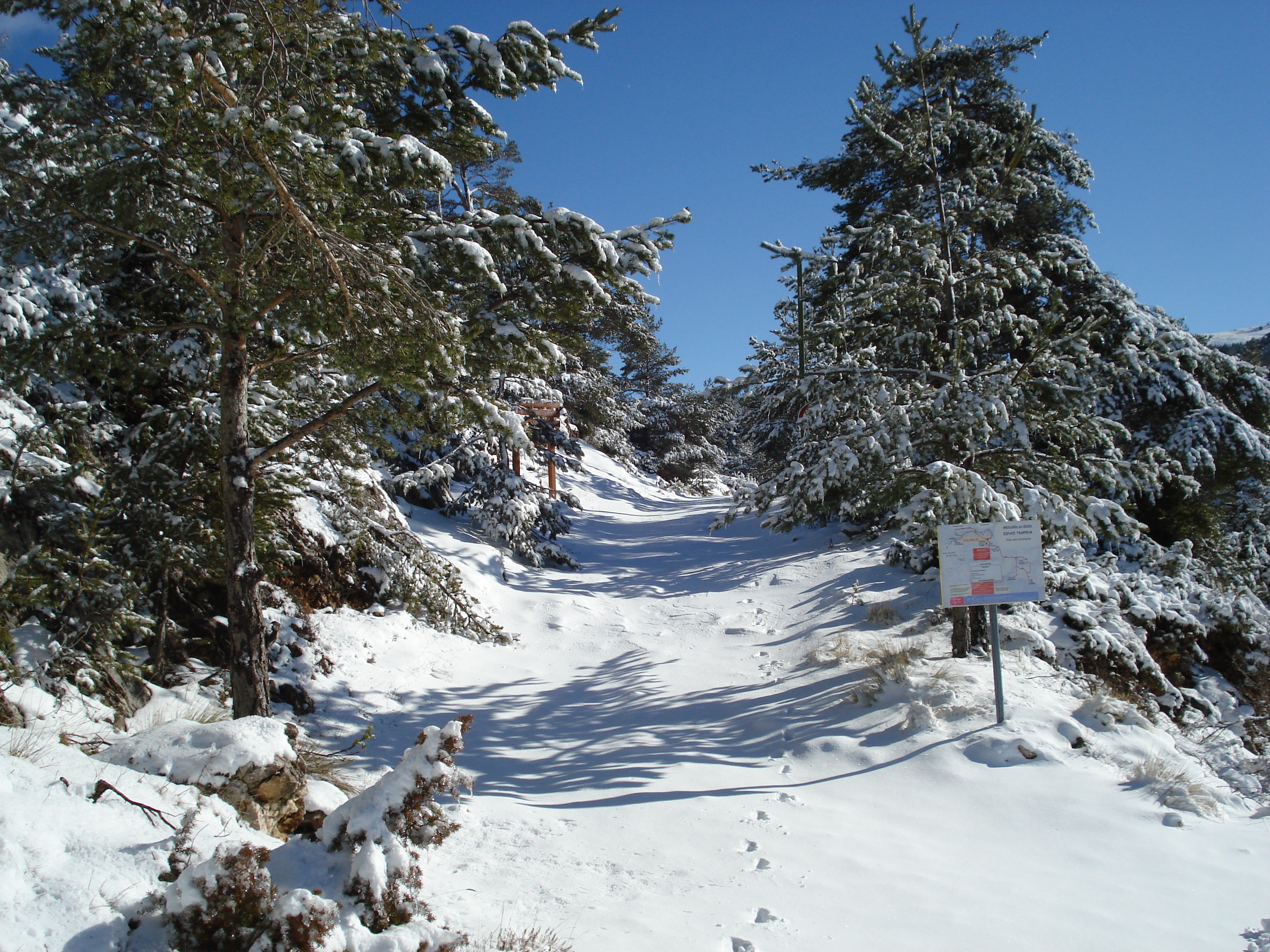 Picture France Greolieres les neiges 2007-01 33 - Around Greolieres les neiges